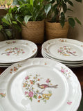 8 platos llanos en porcelana "Bidasoa".