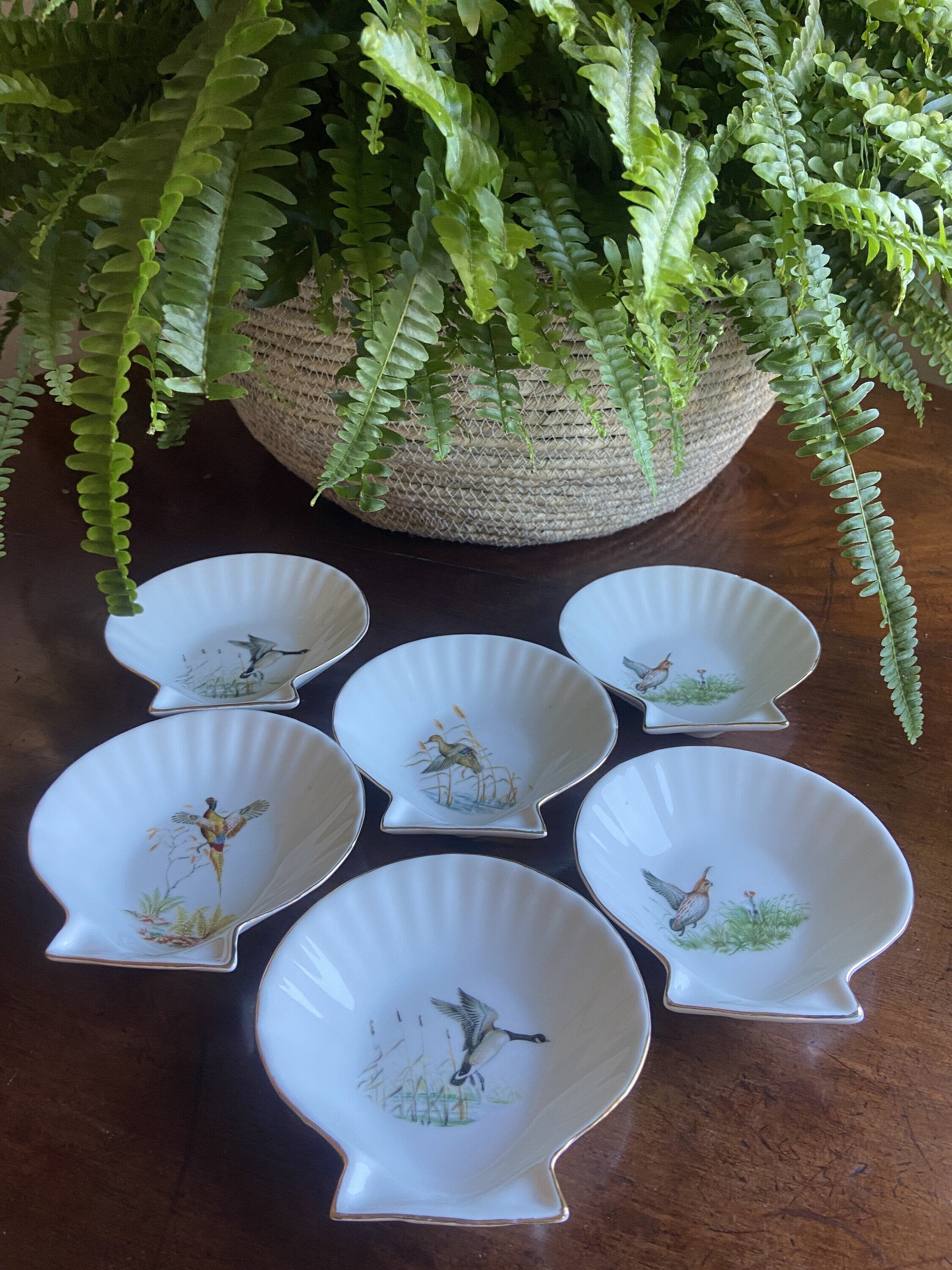 6 conchas en porcelana refractaria "Isard"