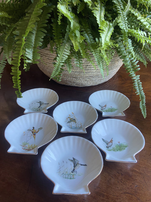6 conchas en porcelana refractaria "Isard"