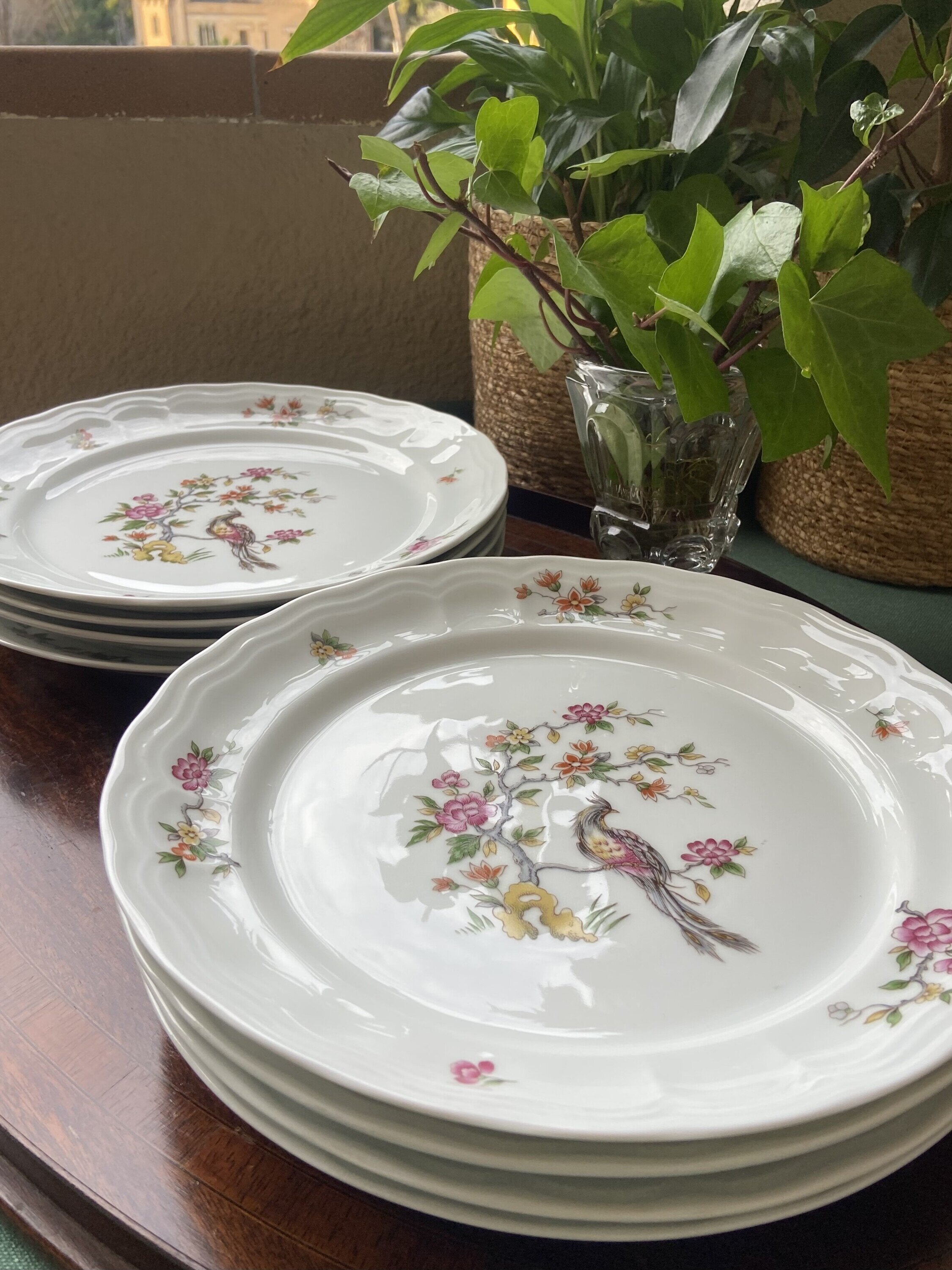 8 platos llanos en porcelana "Bidasoa".