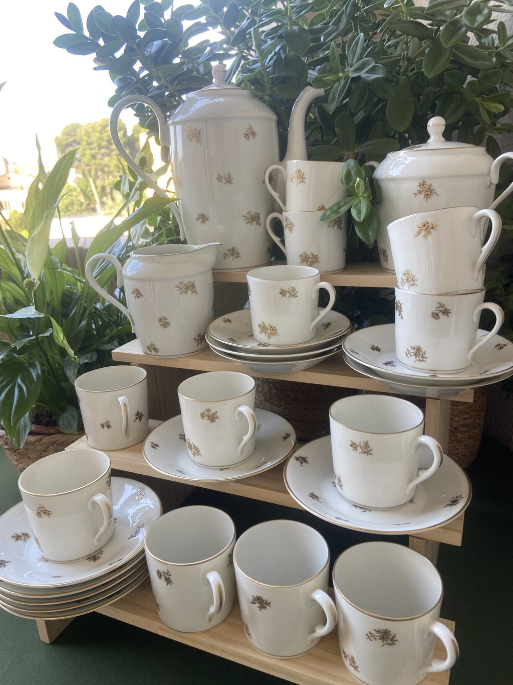 Juego de café en porcelana "Bidasoa".