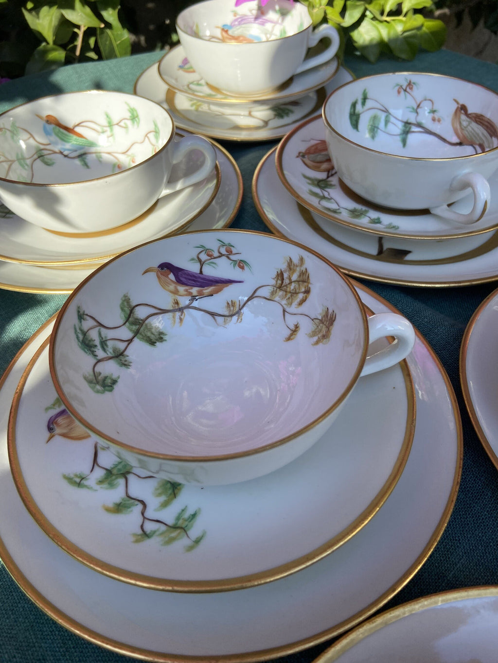 6 tazas de té con plato y 6 platos de merienda en porcelana "Bidasoa"