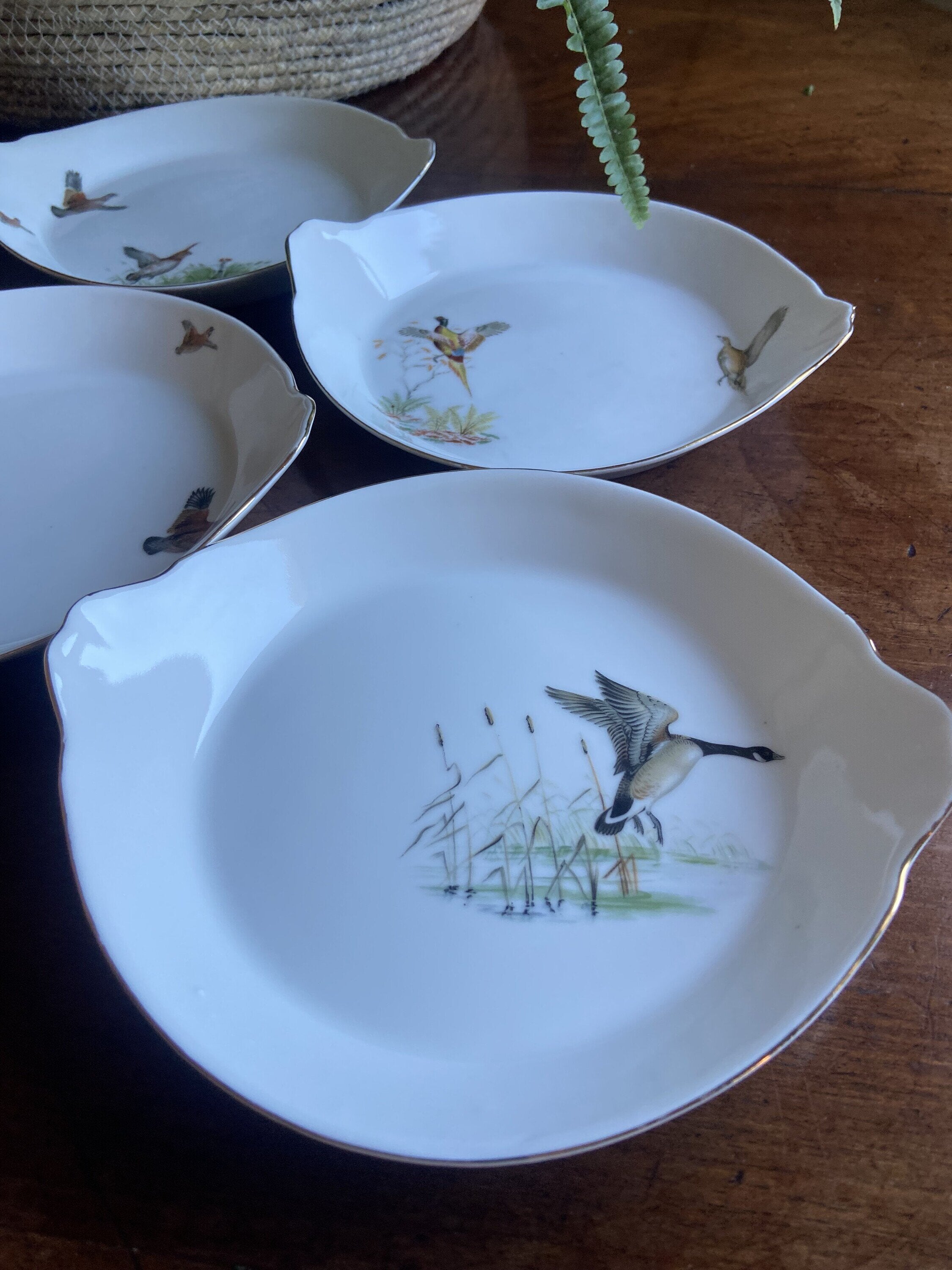 6 fuentes individuales en porcelana refractaria"Isard"