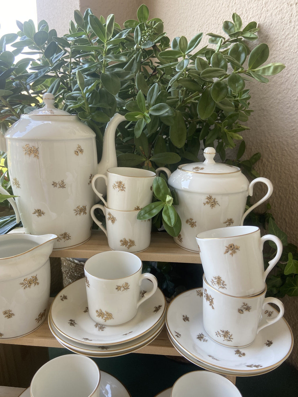 Juego de café en porcelana "Bidasoa".