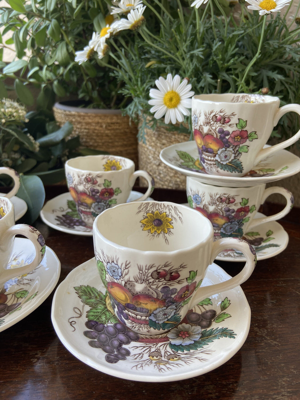 6 tazas café en loza inglesa "Spode"