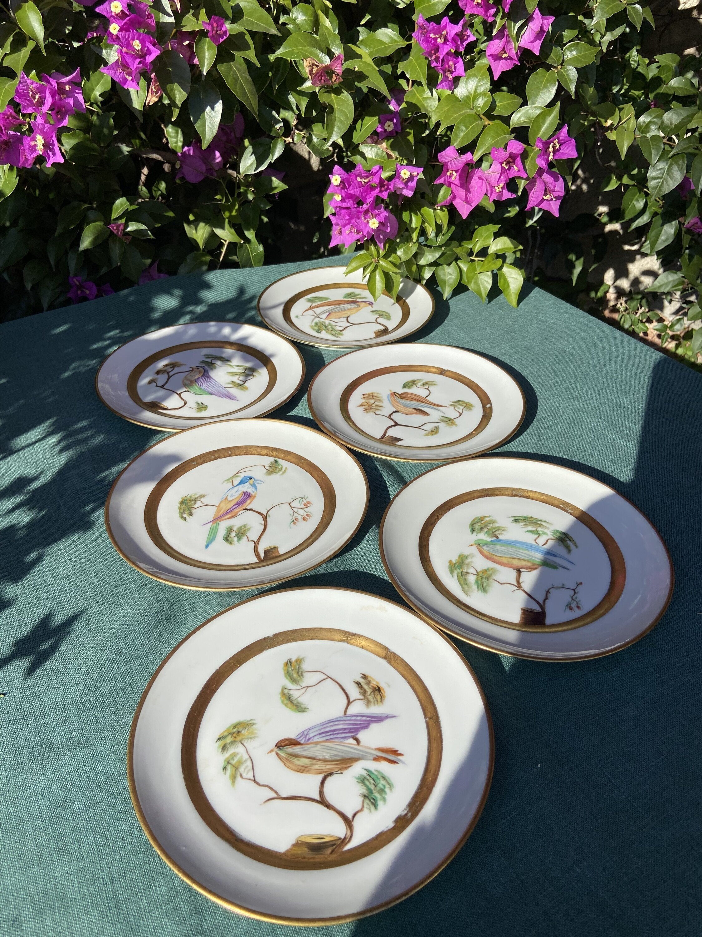 6 tazas de té con plato y 6 platos de merienda en porcelana "Bidasoa"