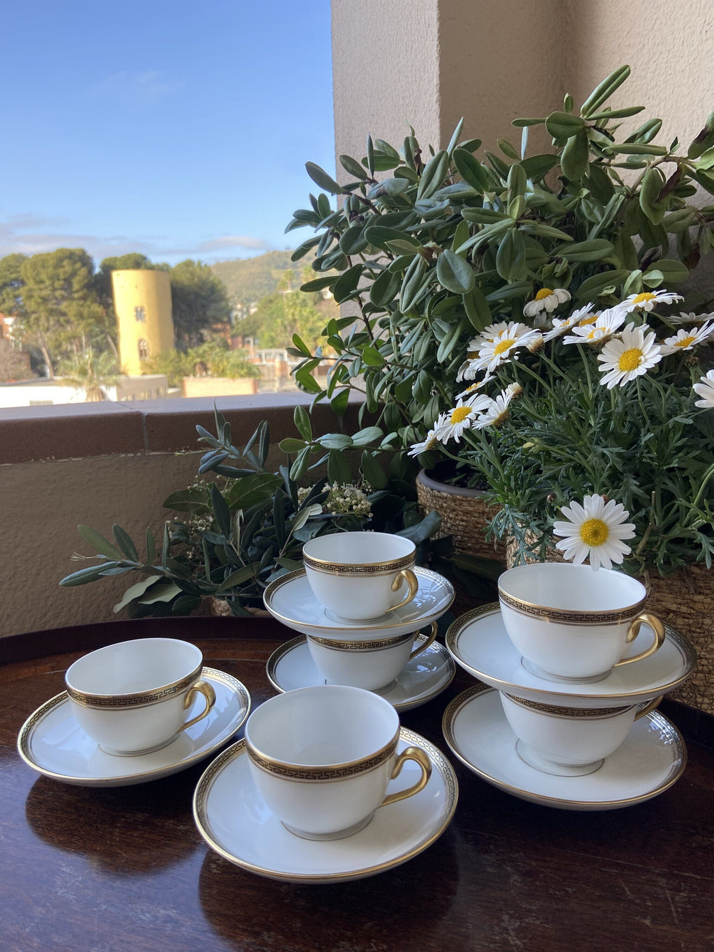 6 tazas café en porcelana "Bidasoa".