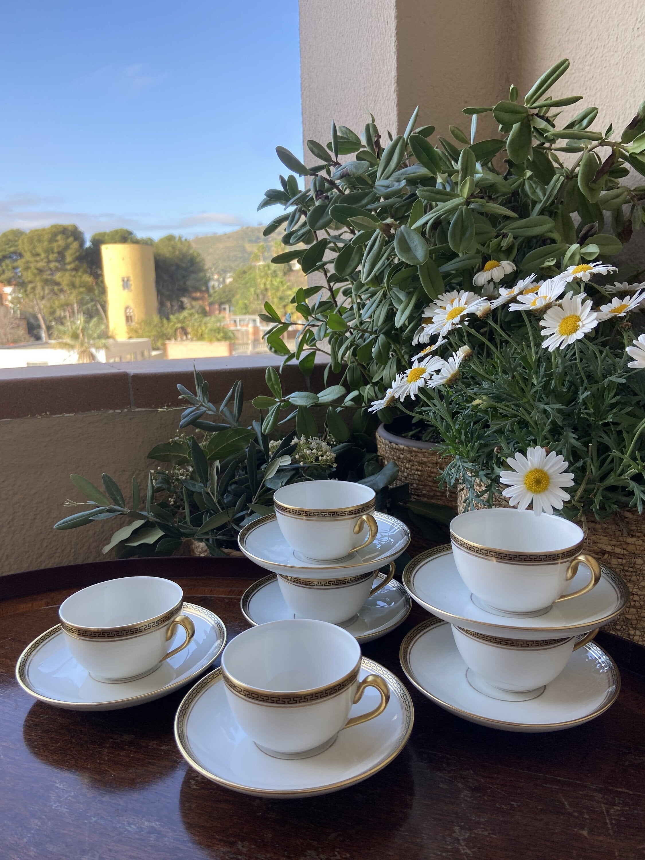 6 tazas café en porcelana "Bidasoa".