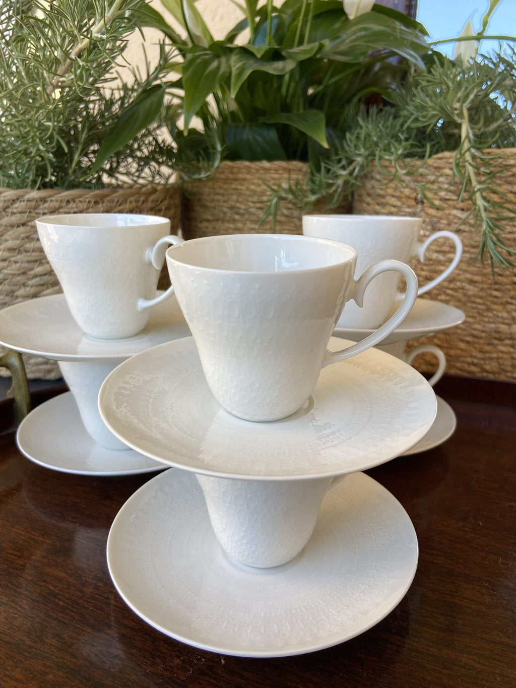 6 tazas en fina porcelana alemana "Rosenthal".