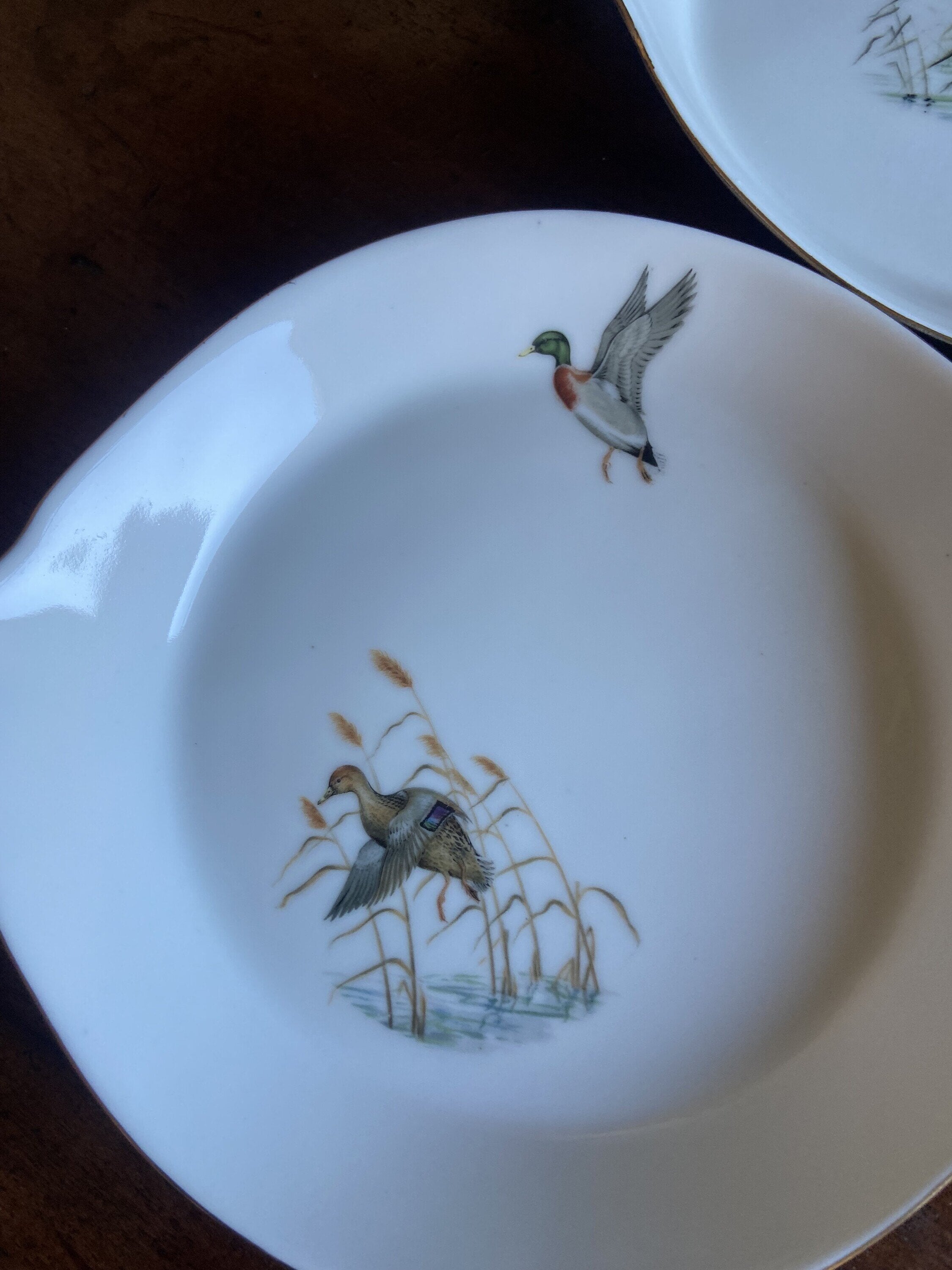 6 fuentes individuales en porcelana refractaria"Isard"
