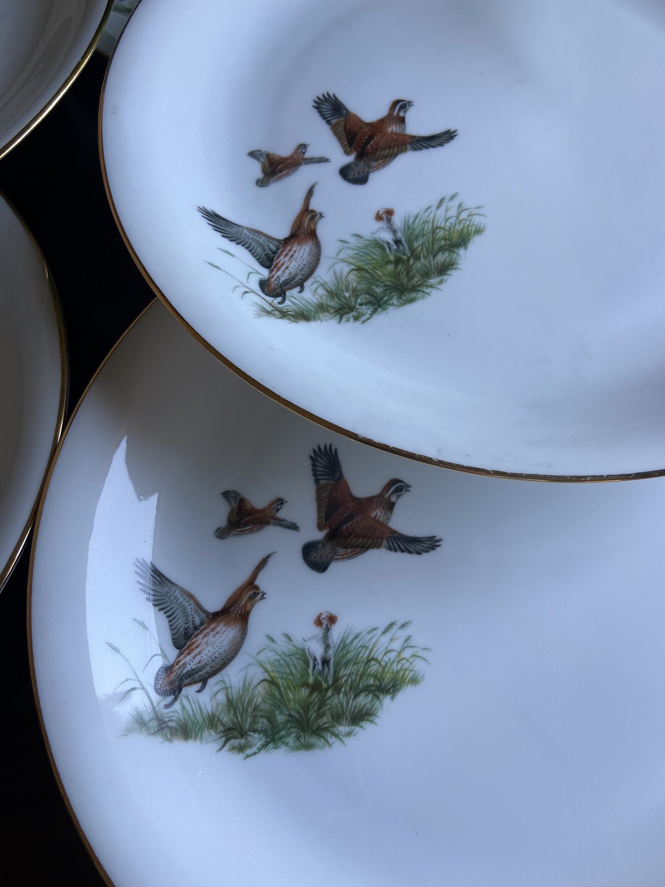 6 platos llanos en porcelana "Santa Clara".