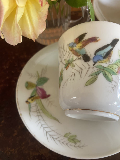 4 tazas de café en porcelana decoradas con pajaros.