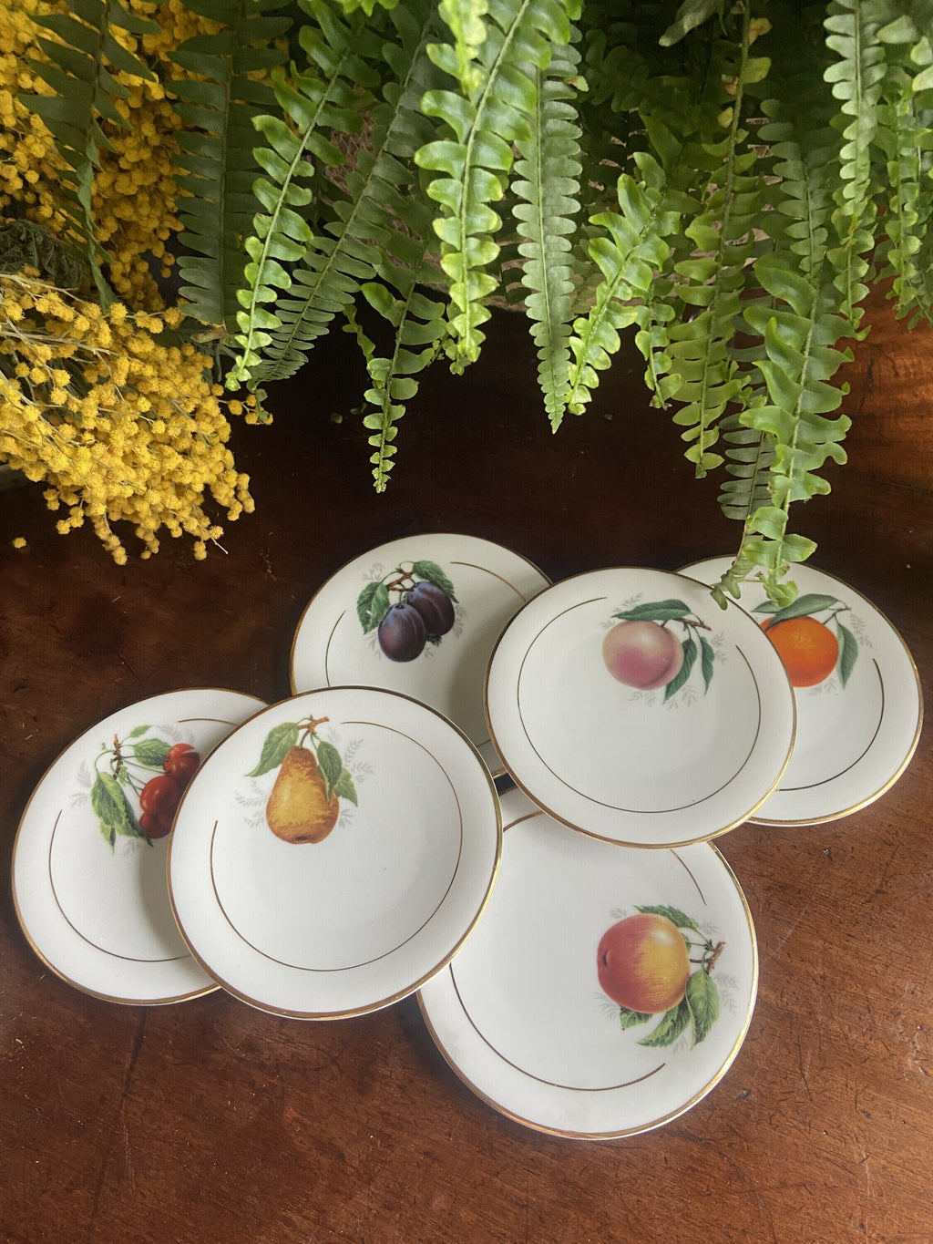 6 platos pan en porcelana