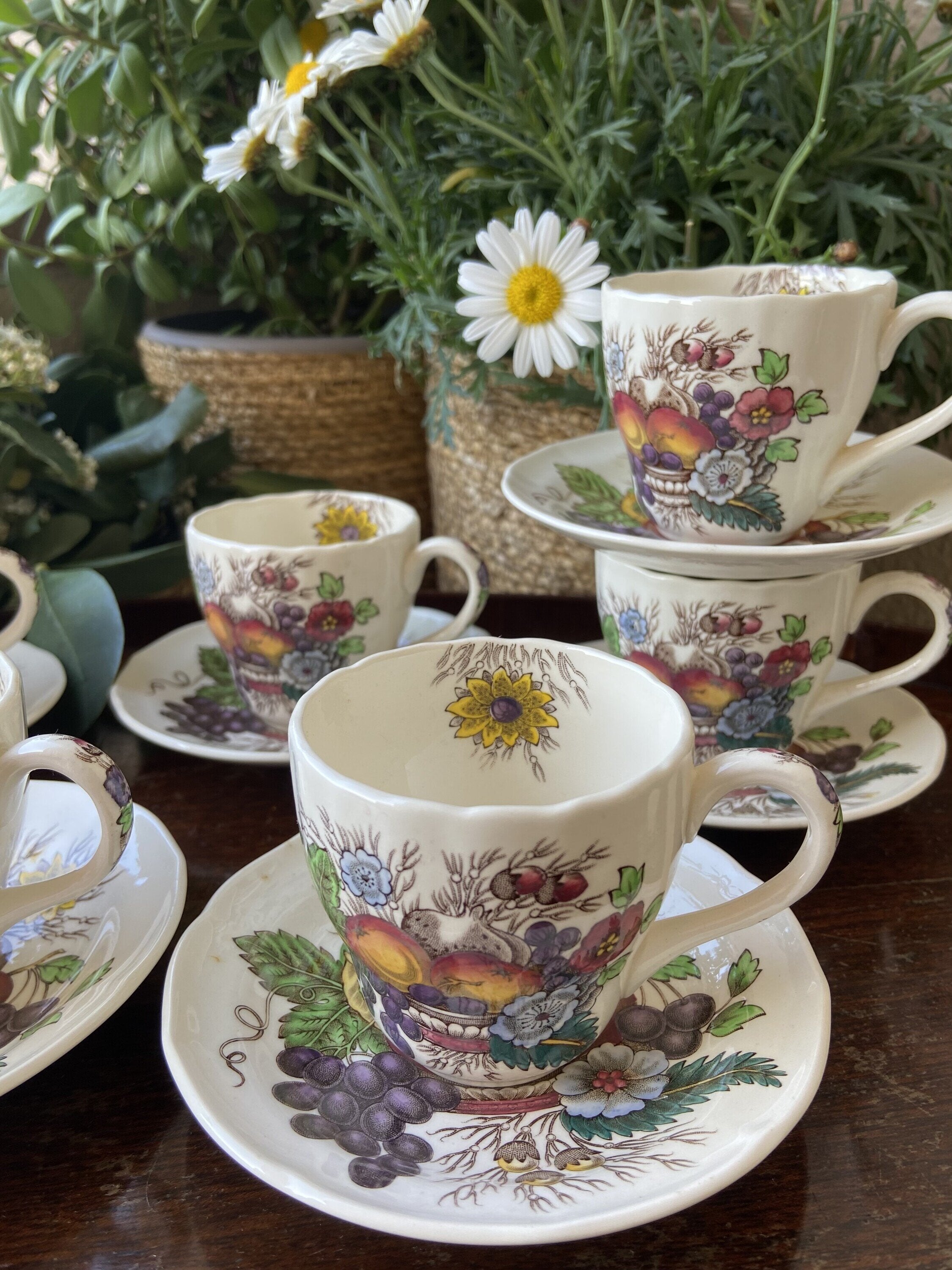 6 tazas cafe en loza inglesa "Spode"