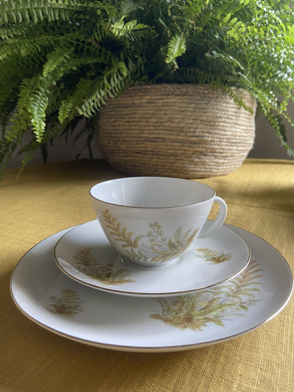 5 tazas de té/desayuno y 6 platos de merienda en porcelana suiza "Langenthal"