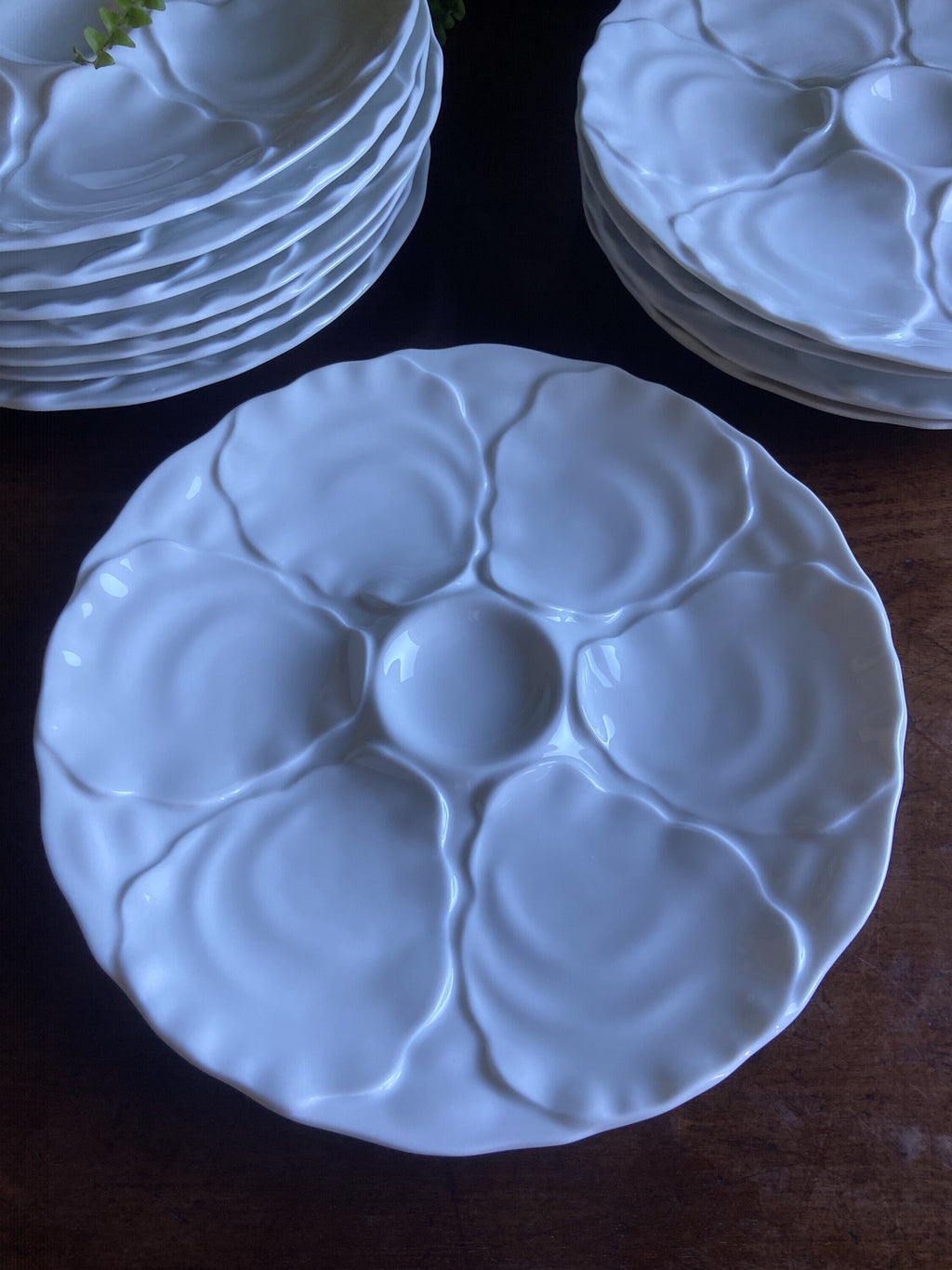Platos para ostras en porcelana "Bidasoa".