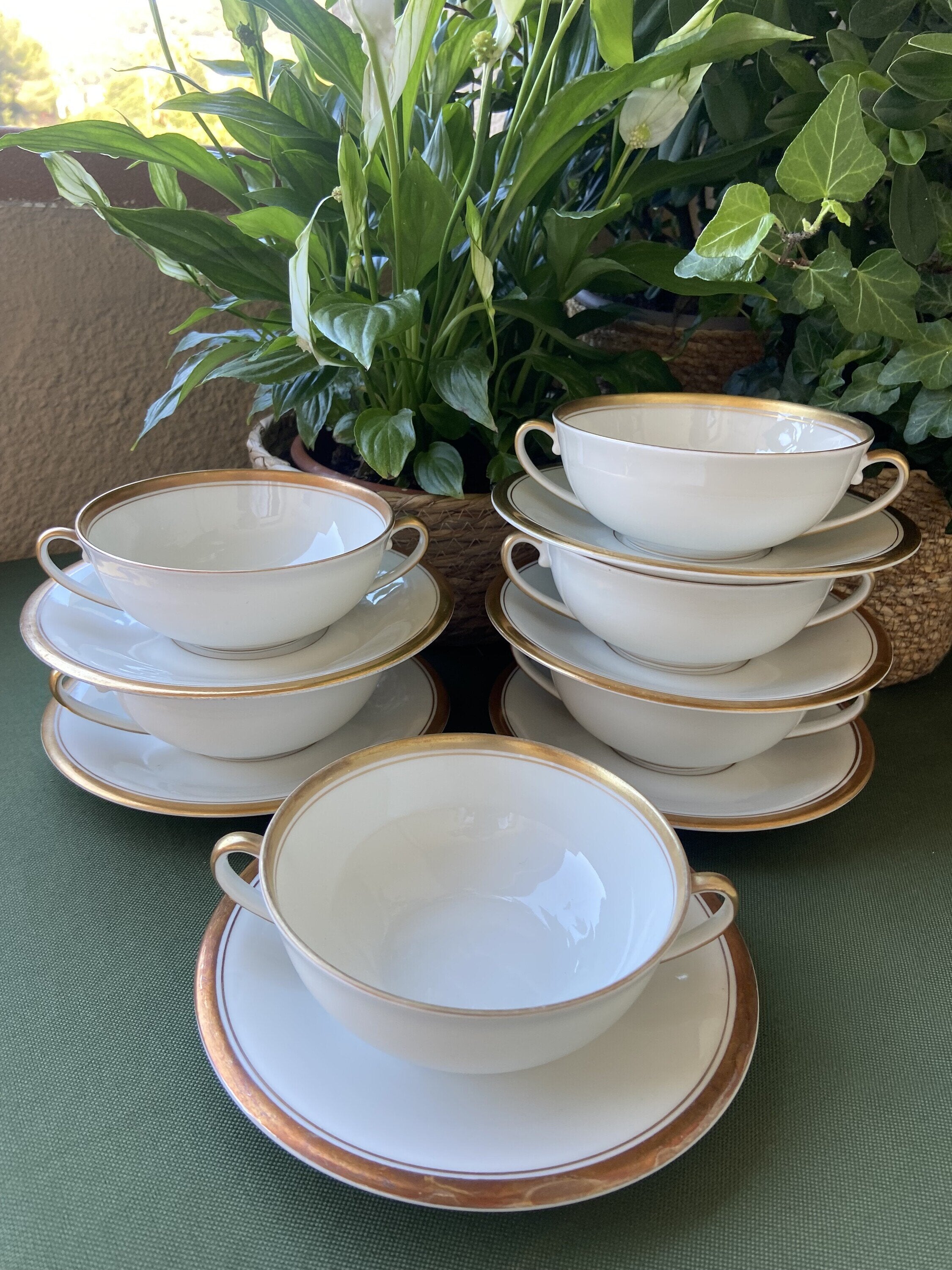 6 tazas de consomé en porcelana "Bidasoa".