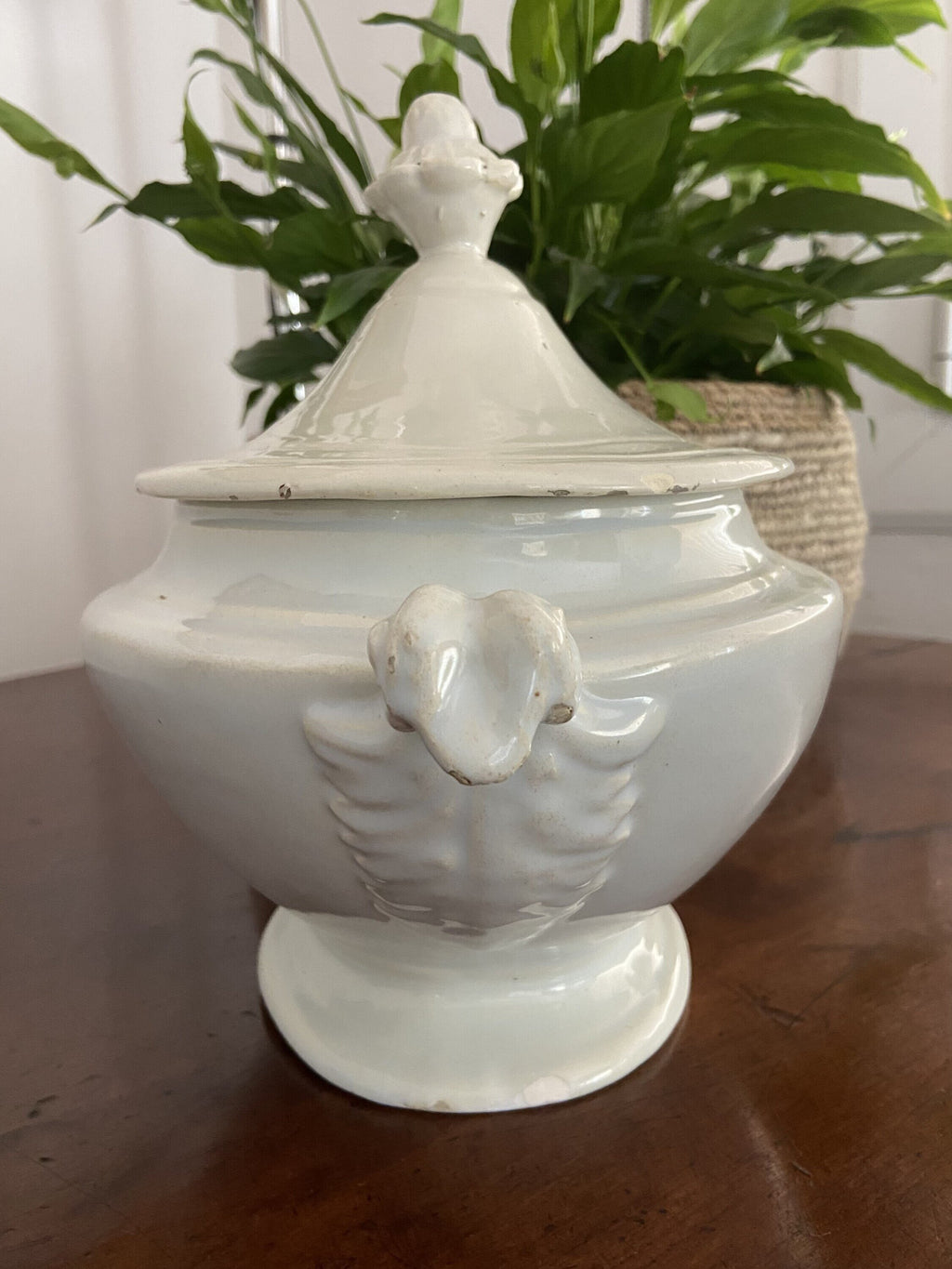 Sopera ovalada con engalba en blanco.
