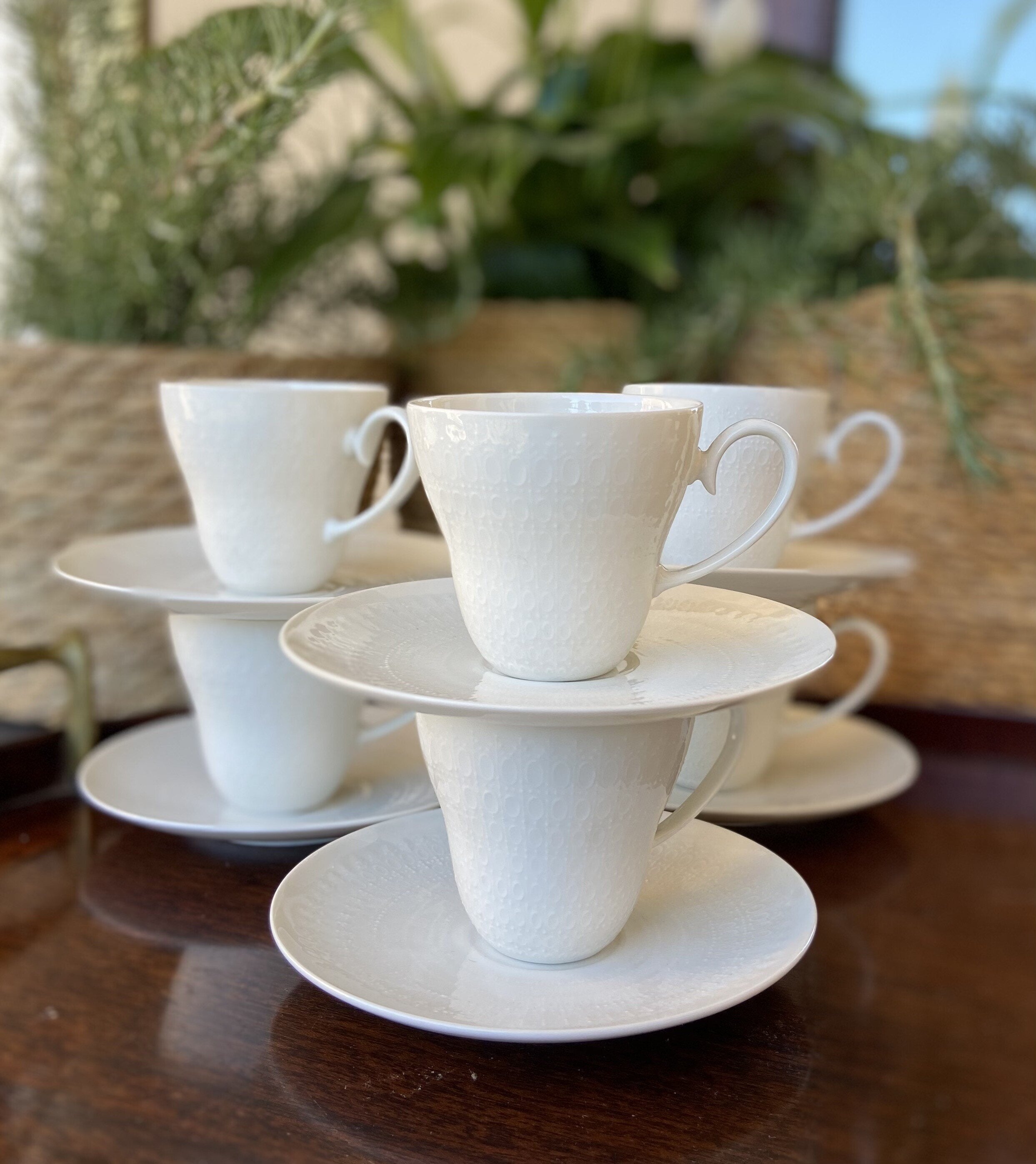 6 tazas en fina porcelana alemana "Rosenthal".