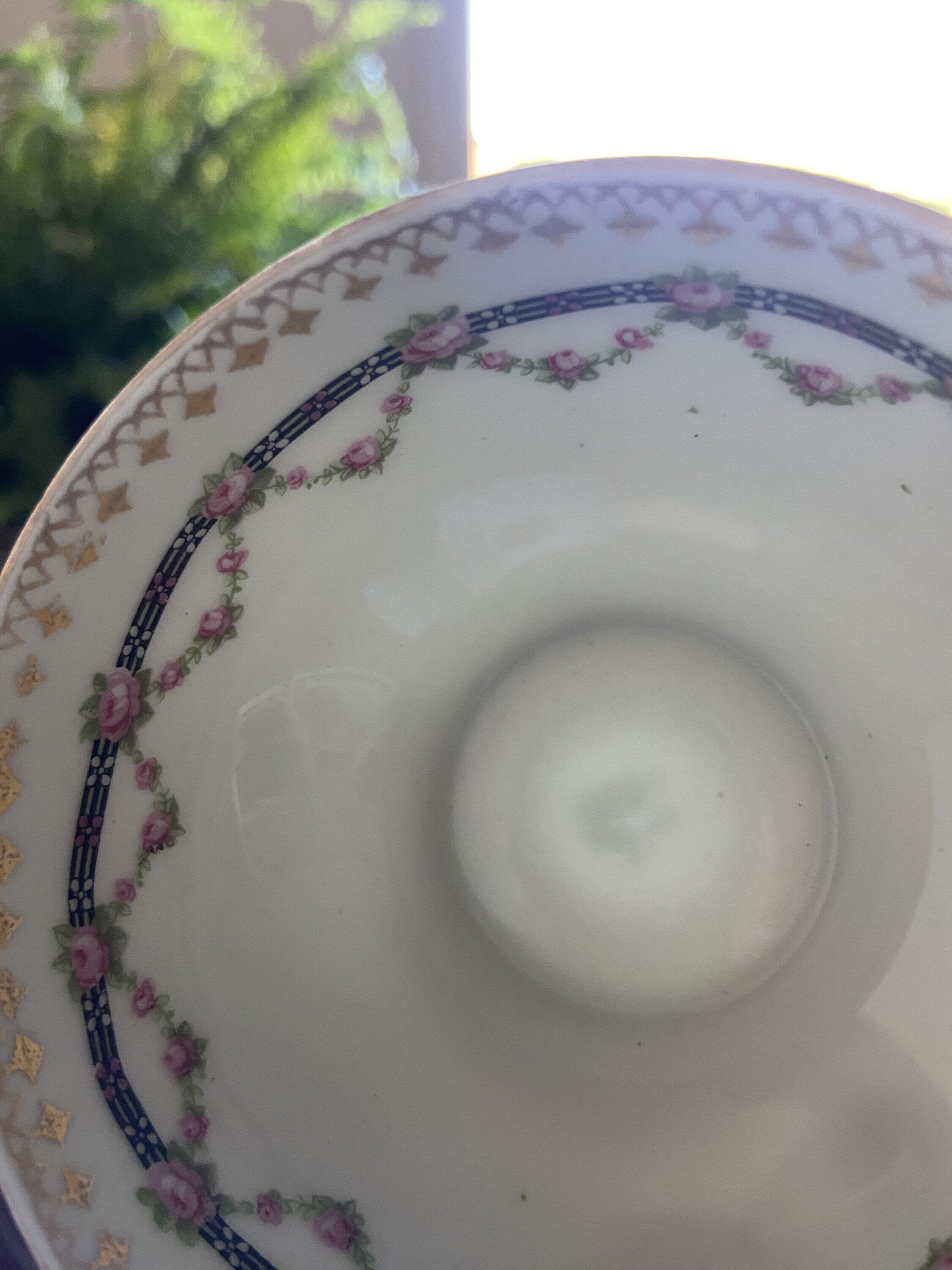 6 tazas de café en fina porcelana alemana "Silesia".