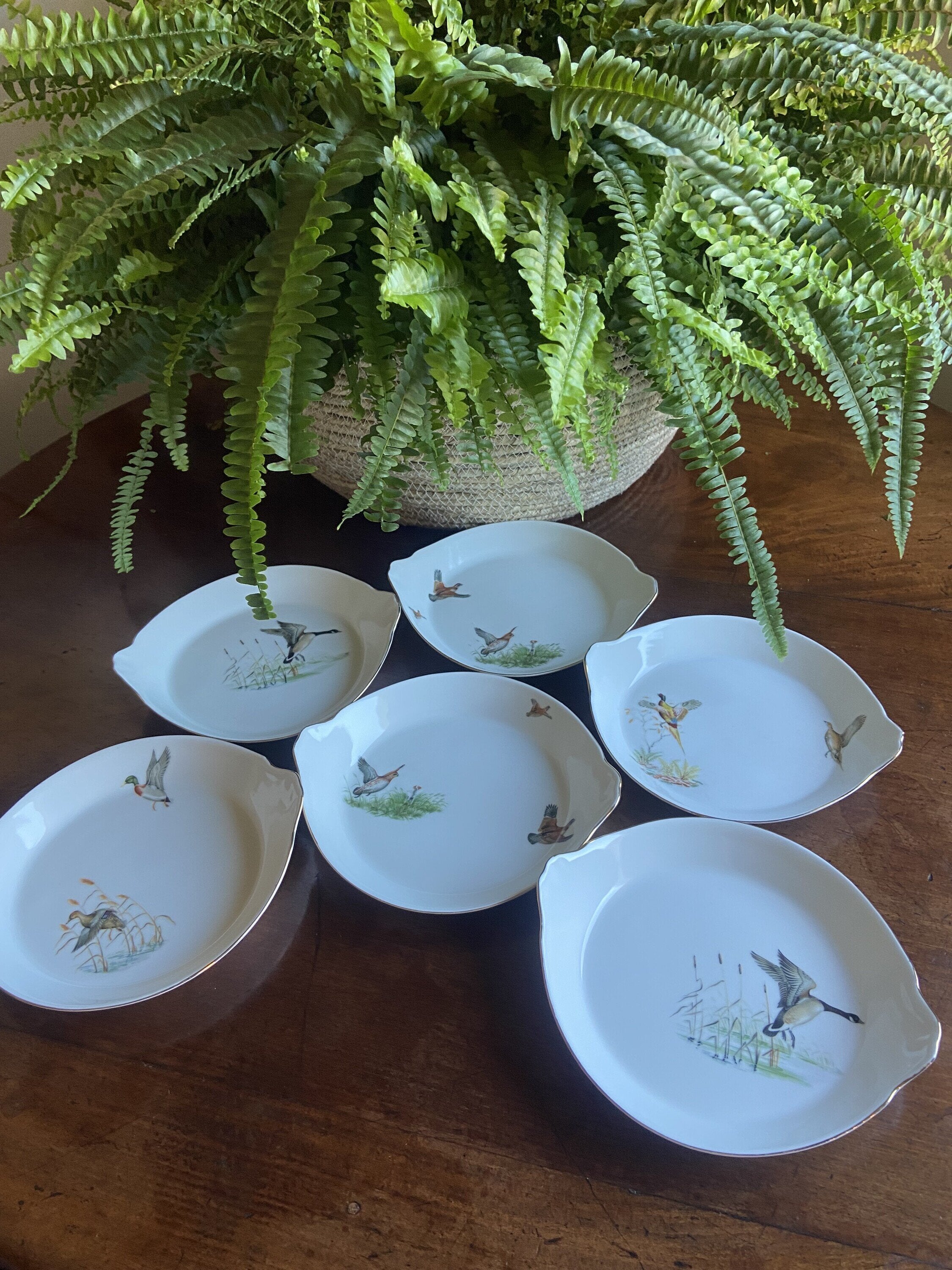 6 fuentes individuales en porcelana refractaria"Isard"