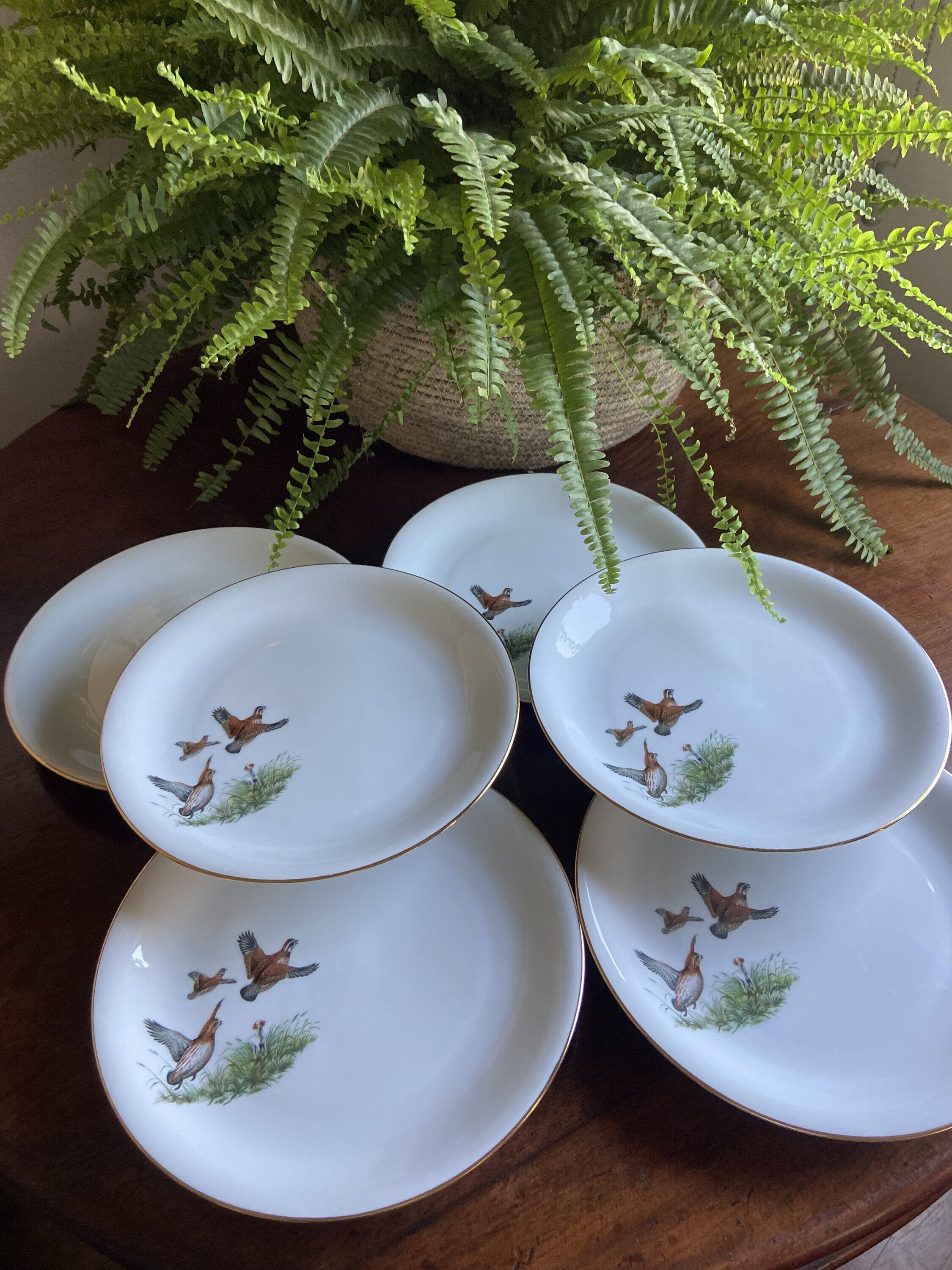 6 platos llanos en porcelana "Santa Clara".