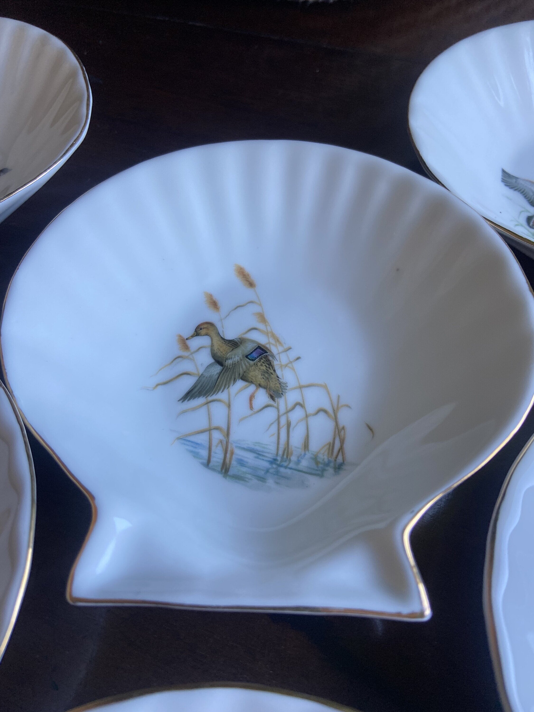 6 conchas en porcelana refractaria "Isard"