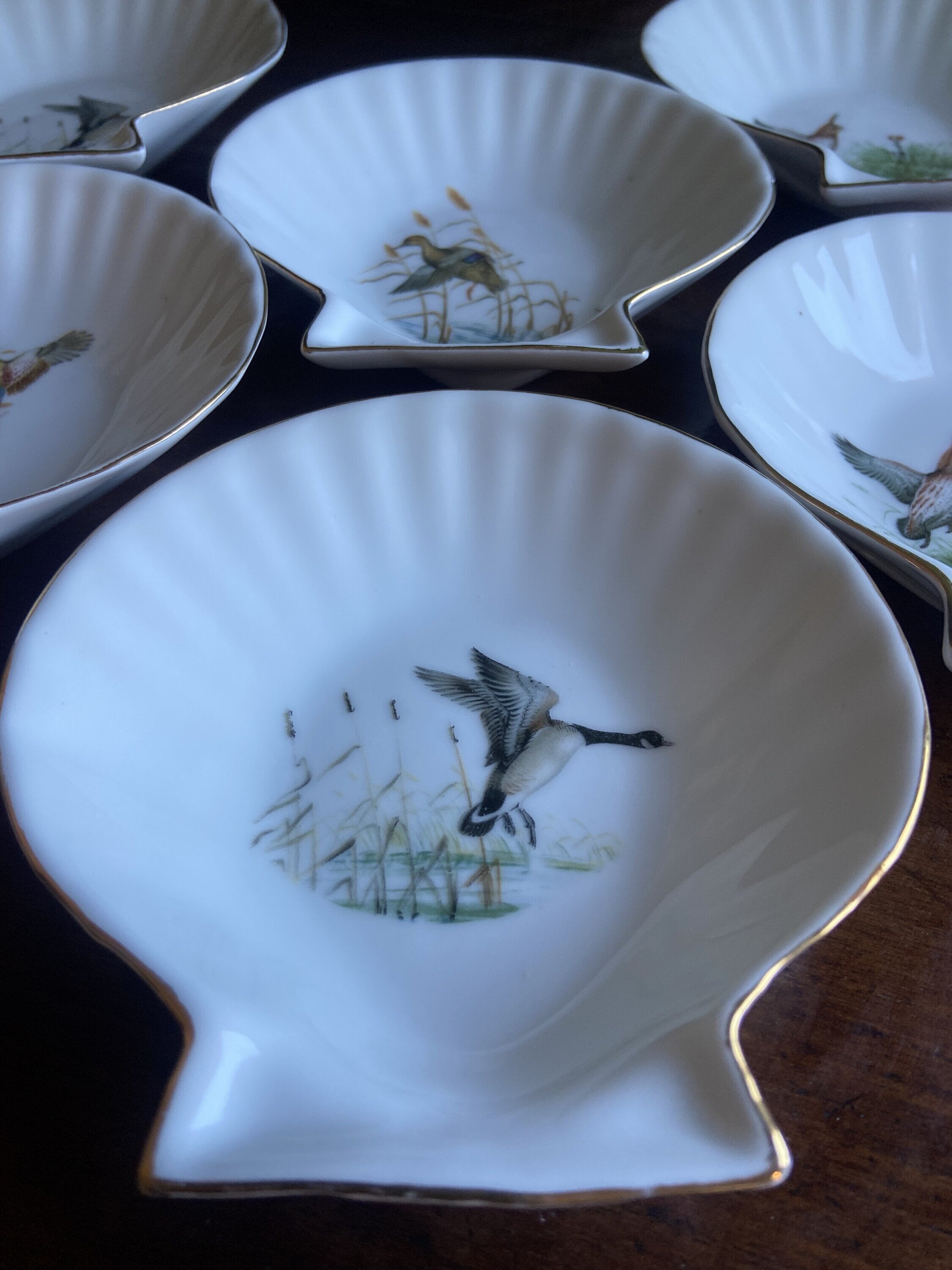 6 conchas en porcelana refractaria "Isard"