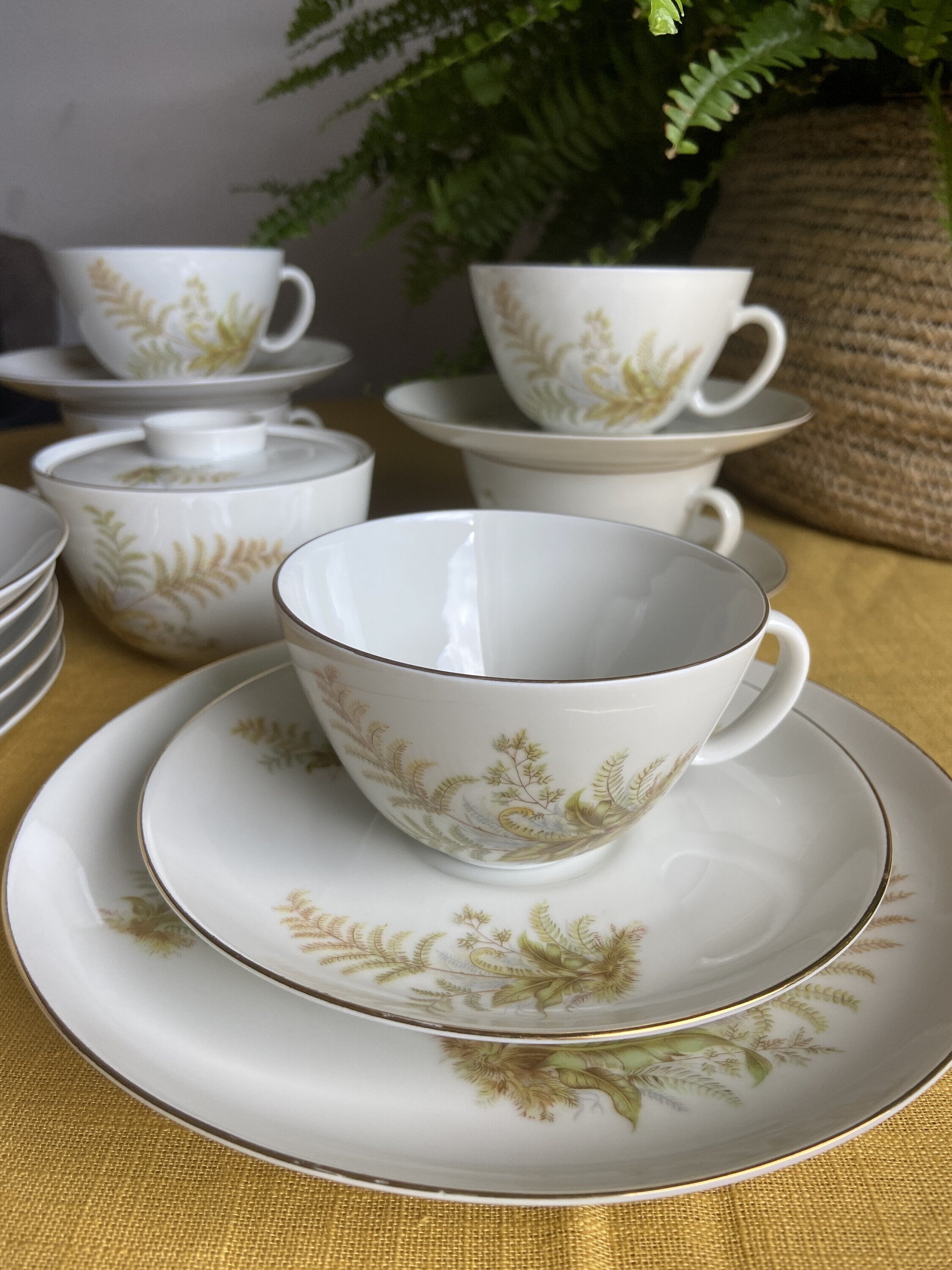 5 tazas de té/desayuno y 6 platos de merienda en porcelana suiza "Langenthal"