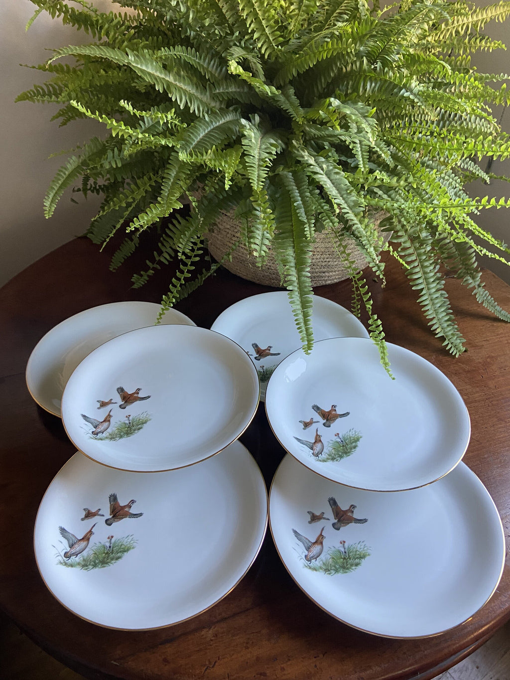 6 platos llanos en porcelana "Santa Clara".
