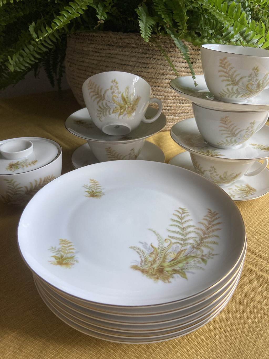 5 tazas de té/desayuno y 6 platos de merienda en porcelana suiza "Langenthal"