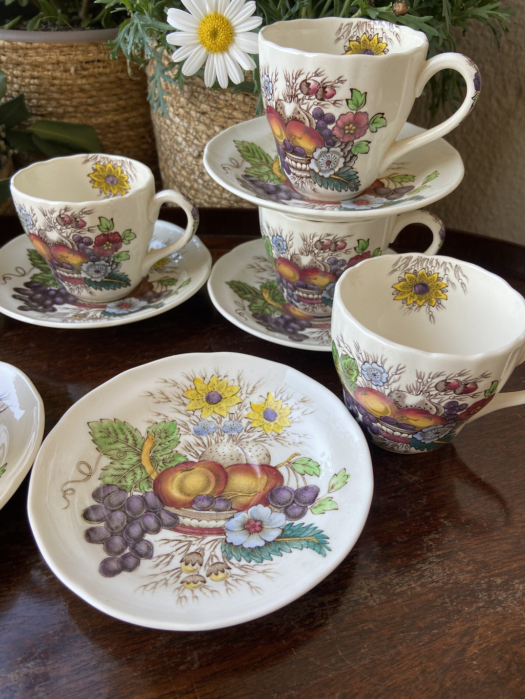 6 tazas café en loza inglesa "Spode"