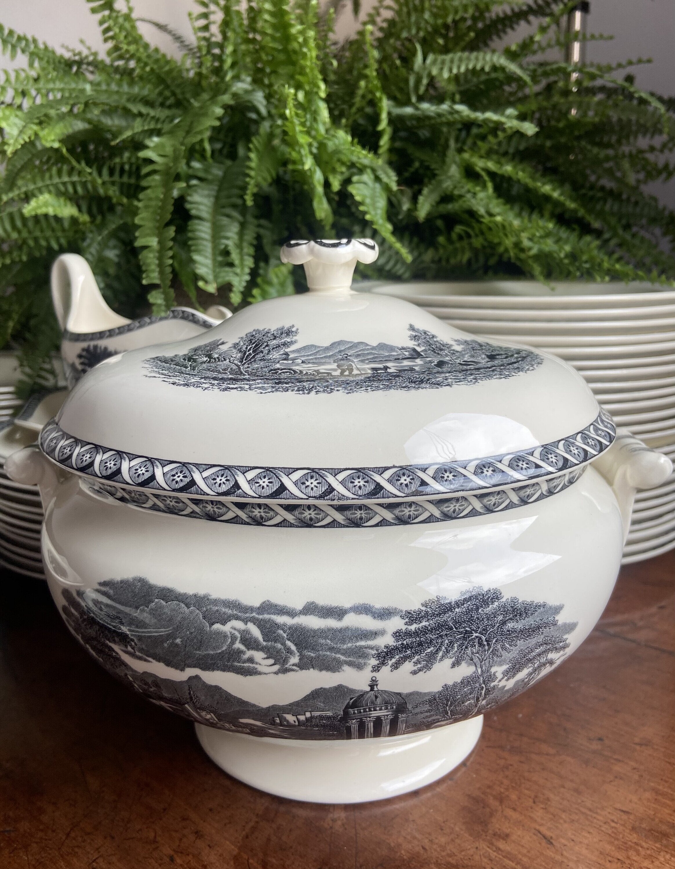 Vajilla en porcelana inglesa "Wedgwood" (mod. Lugano)