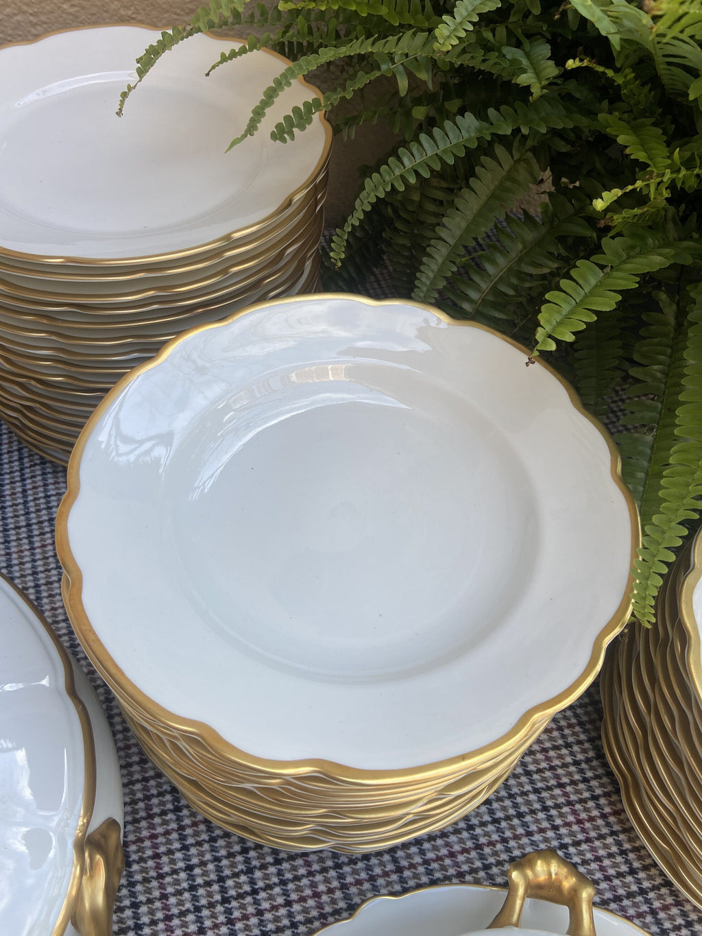 Vajilla en porcelana "Bidasoa"