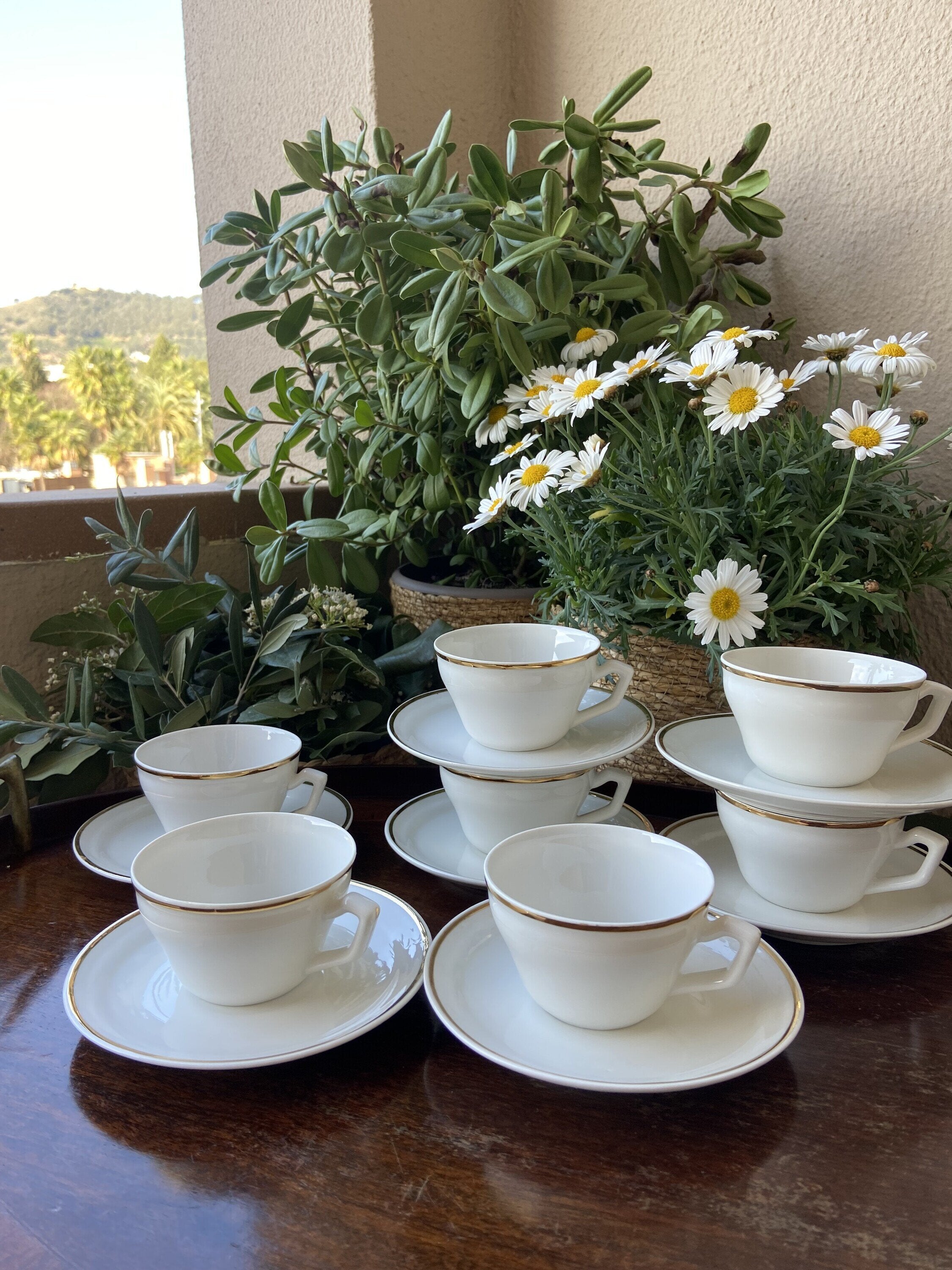 6 tazas de café en porcelana.