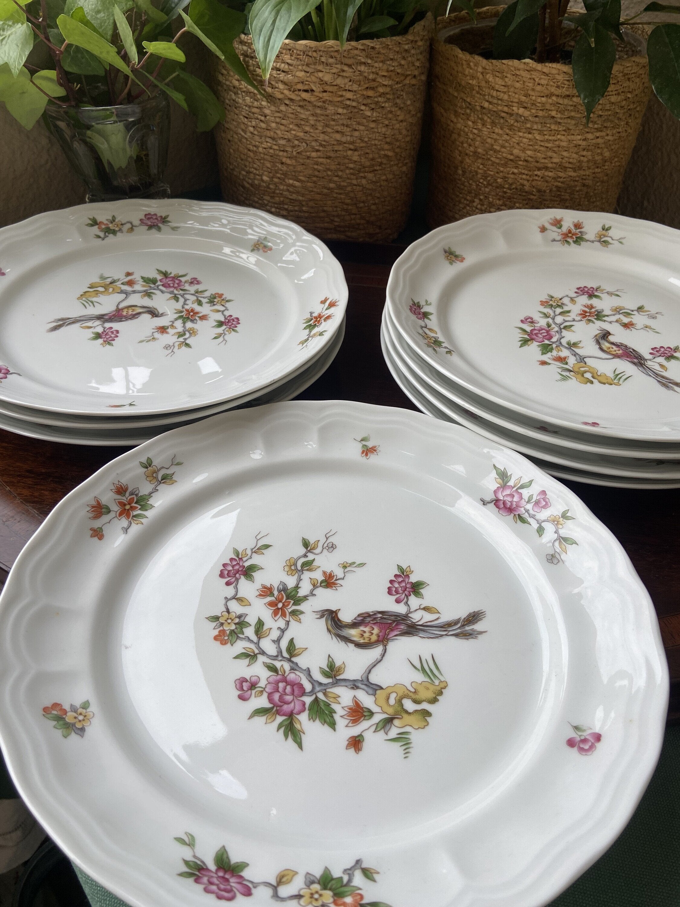 8 platos llanos en porcelana "Bidasoa".