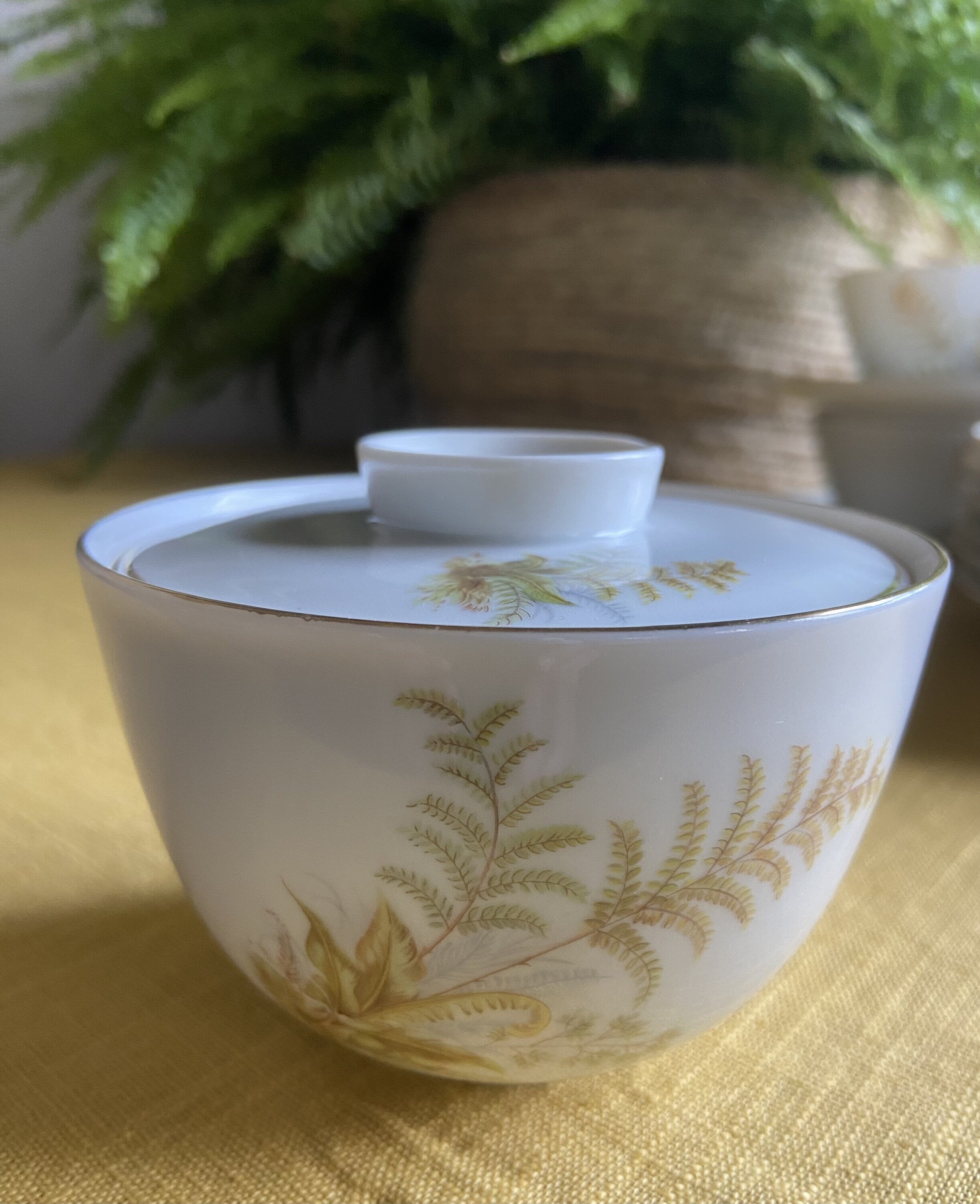 5 tazas de té/desayuno y 6 platos de merienda en porcelana suiza "Langenthal"