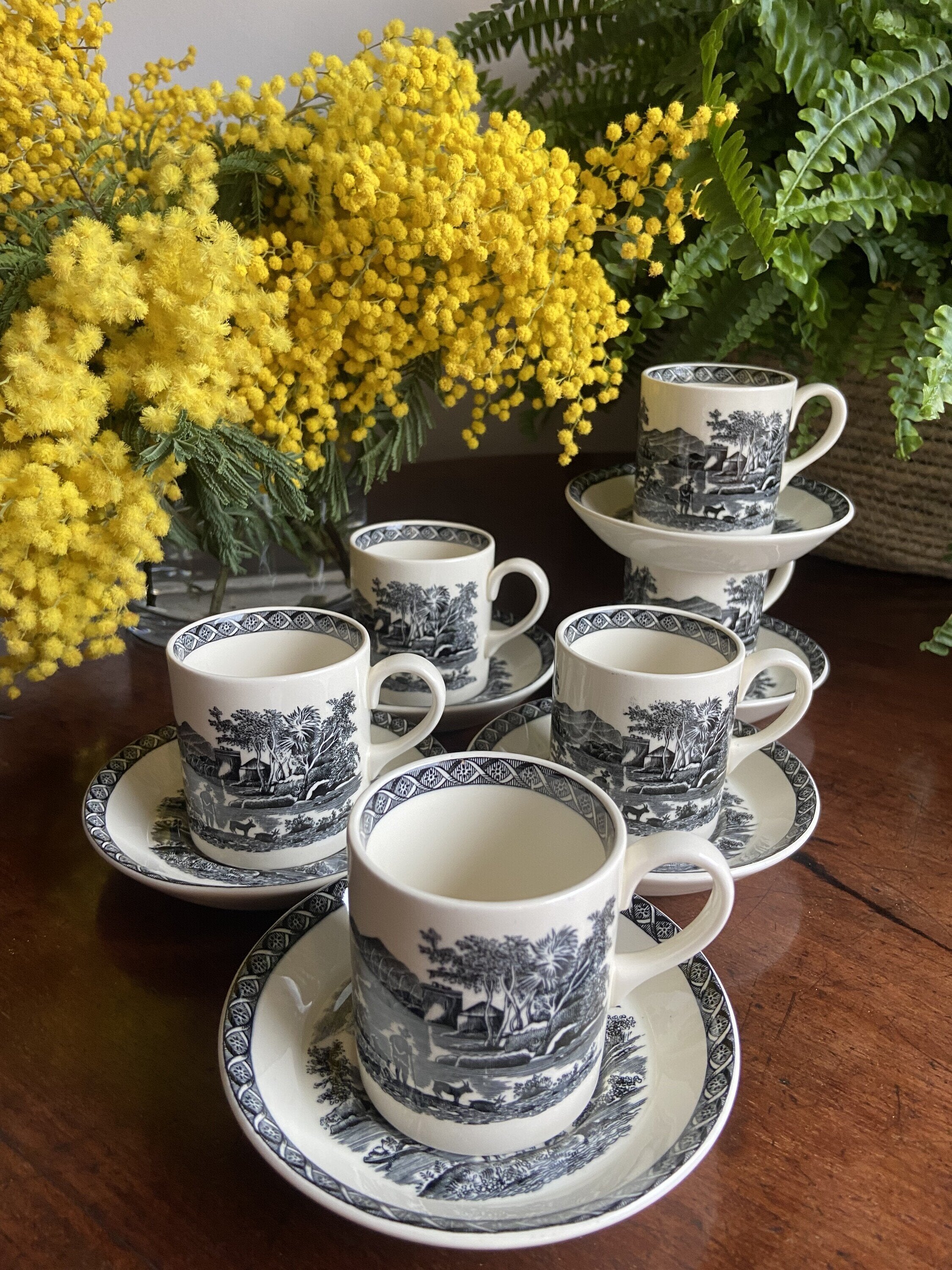 6 tazas de café en porcelana inglesa"Wegwood" (mod.Lugano)
