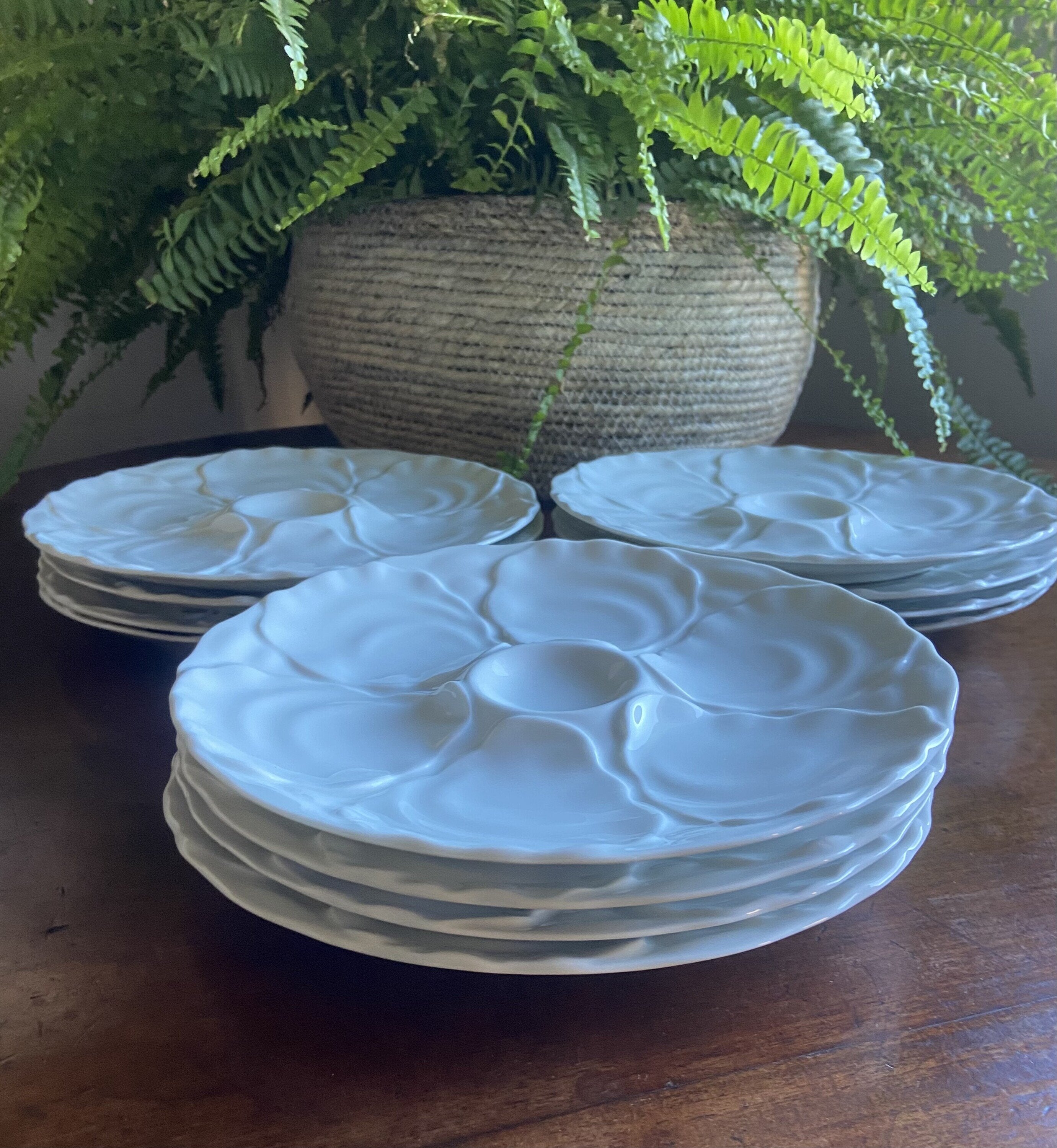 Platos para ostras en porcelana "Bidasoa".