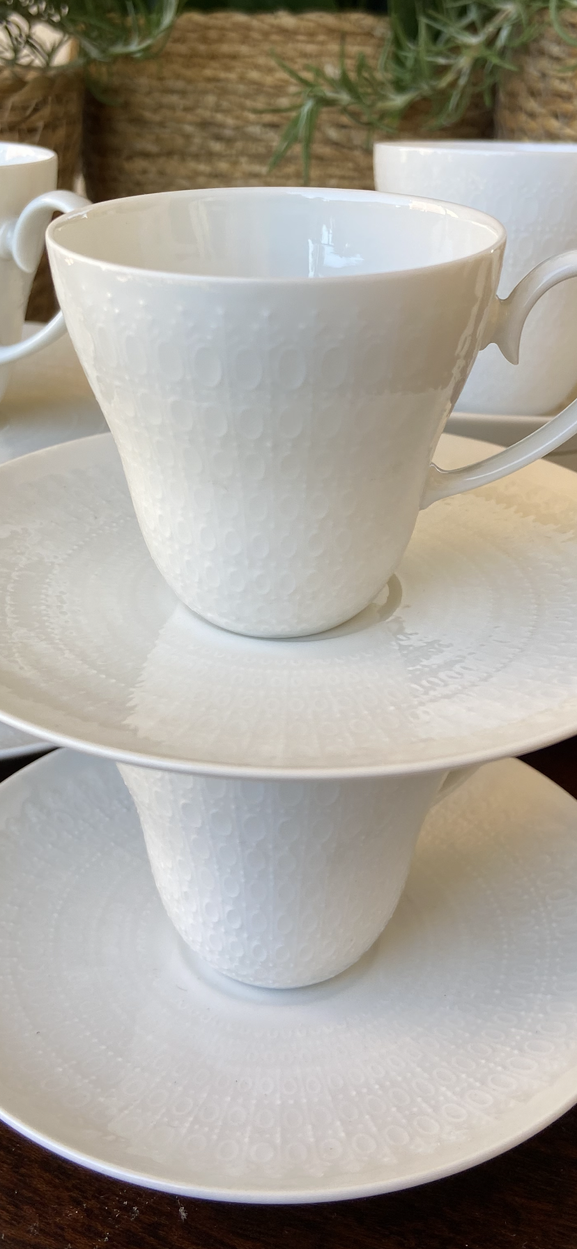 6 tazas en fina porcelana alemana "Rosenthal".