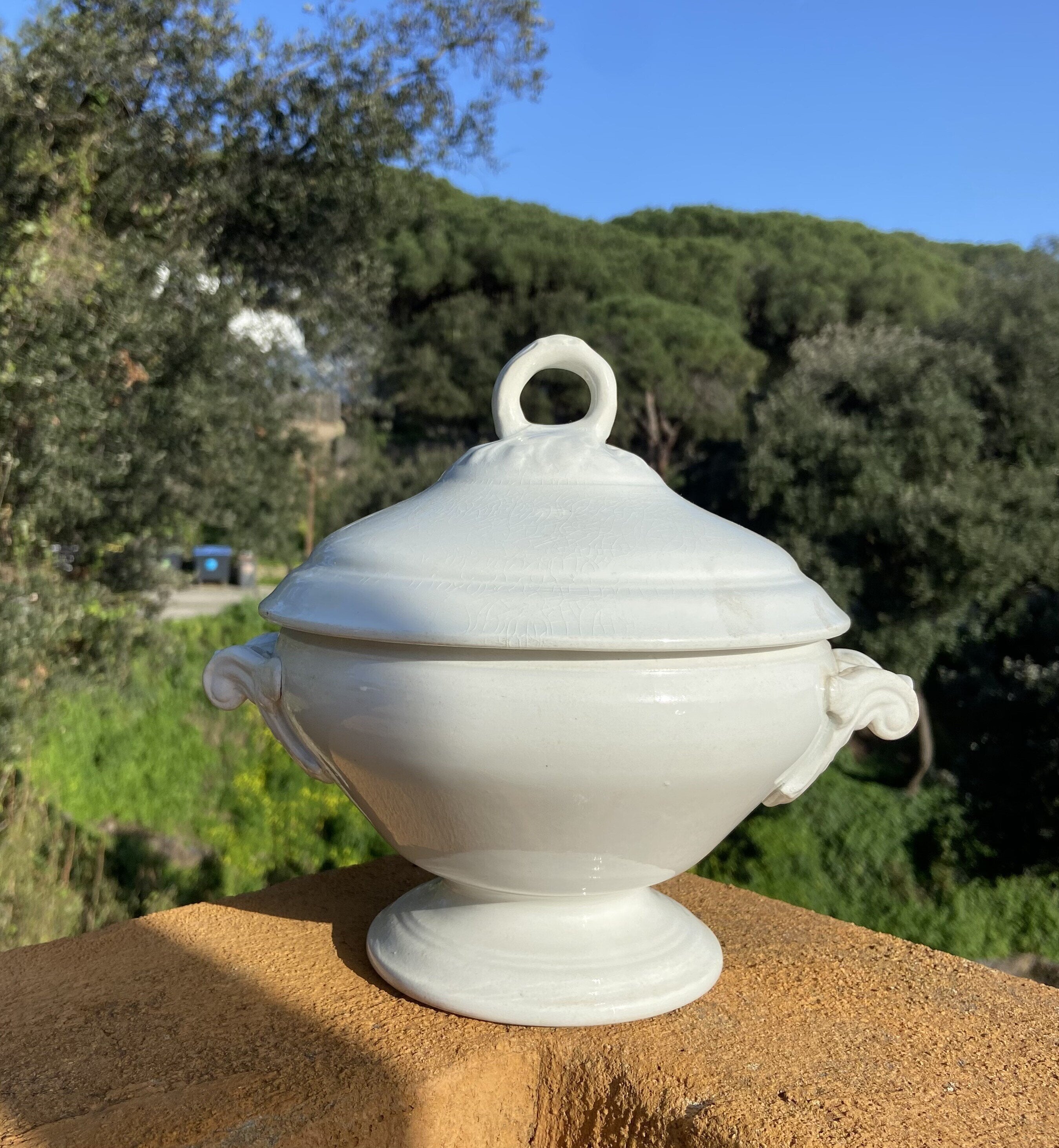-Sopera en loza francesa "Lunéville".