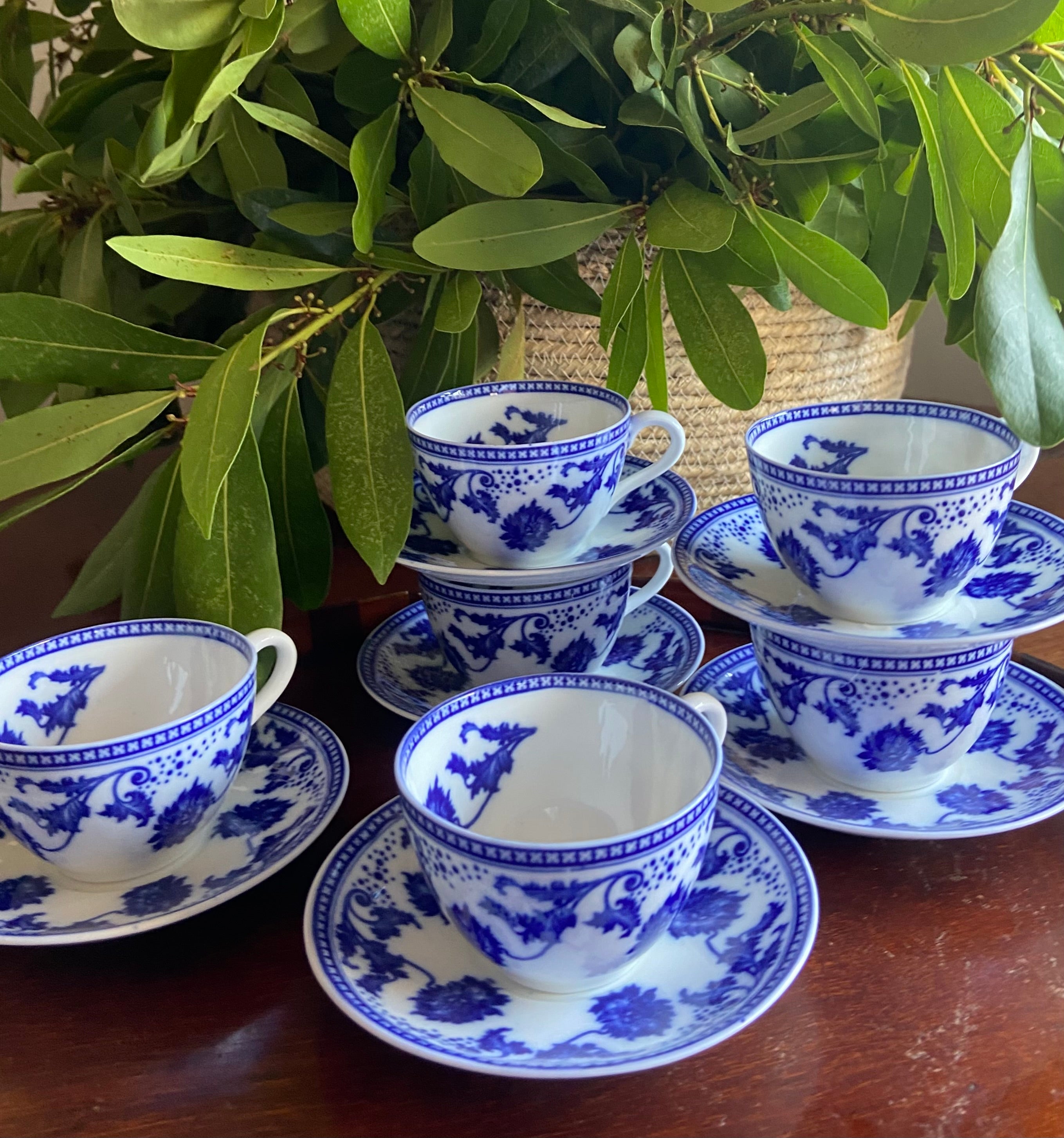 6 tazas de café en porcelana inglesa "Aynsley".