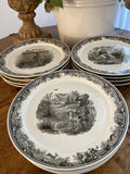 12 platos llanos en loza alemana "Villeroy & Boch"