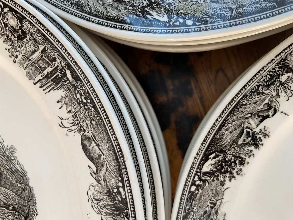 12 platos llanos en loza alemana "Villeroy & Boch"