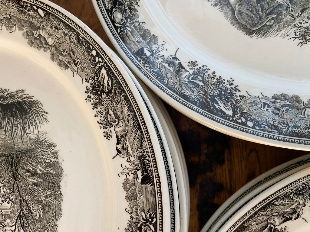 12 platos llanos en loza alemana "Villeroy & Boch"