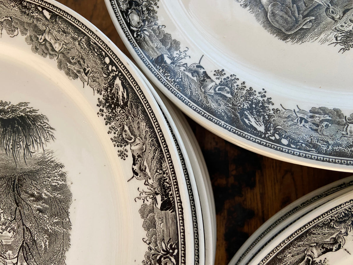 12 platos llanos en loza alemana "Villeroy & Boch"