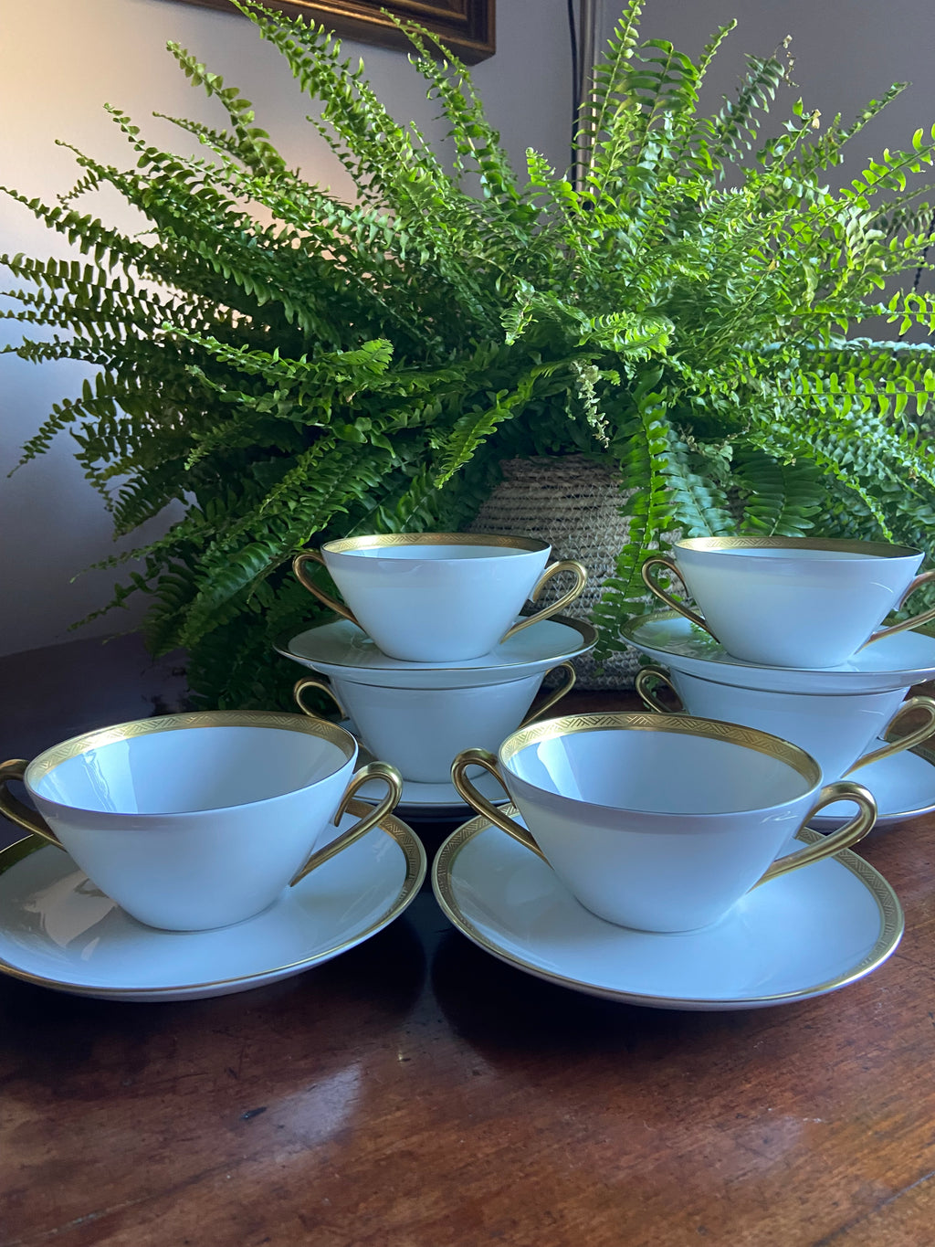 6 tazas de consomé en porcelana "Bidasoa"