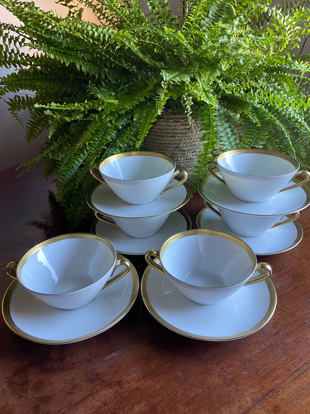 6 tazas de consomé en porcelana "Bidasoa"