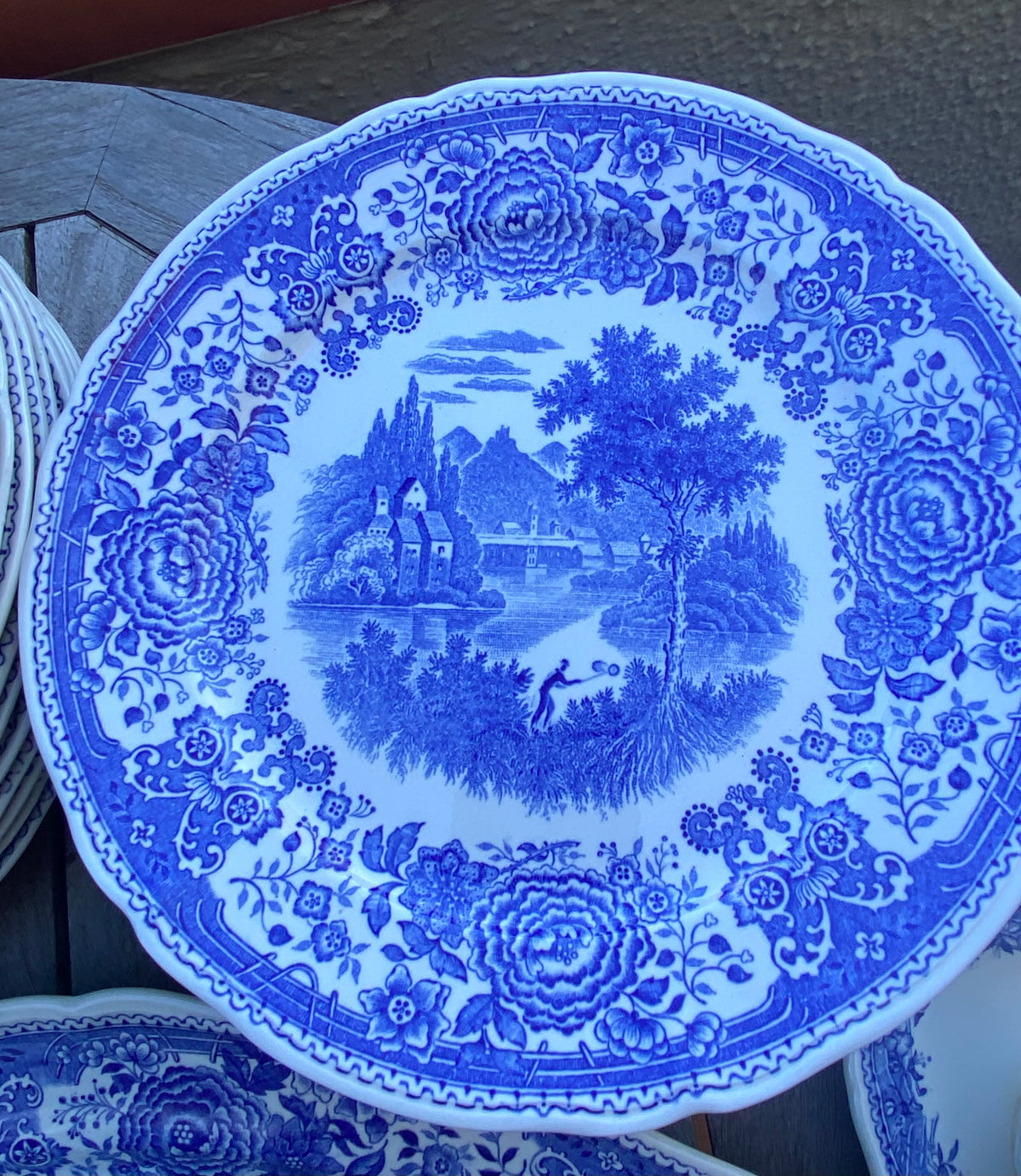 Vajilla en loza alemana "Villeroy & Boch" (mod. Burgenland)