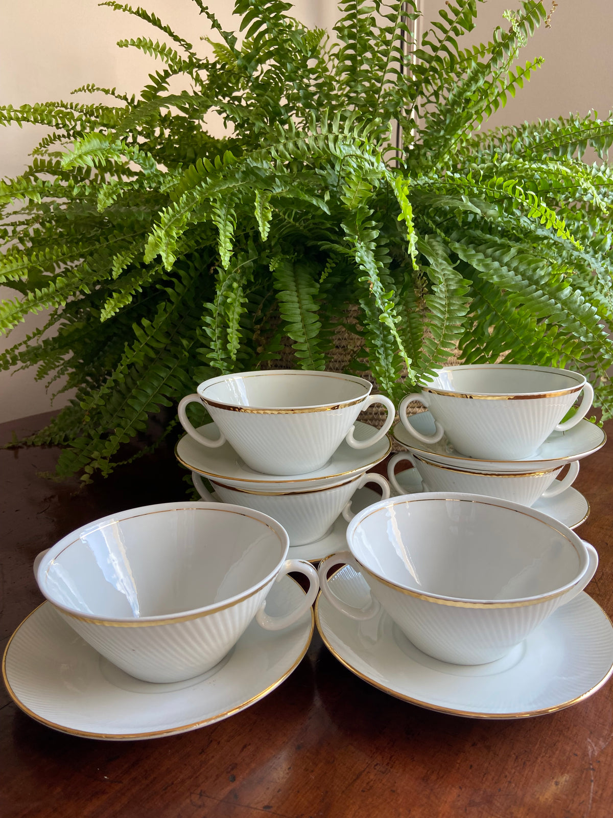 6 tazas consomé porcelana "Santa Clara".